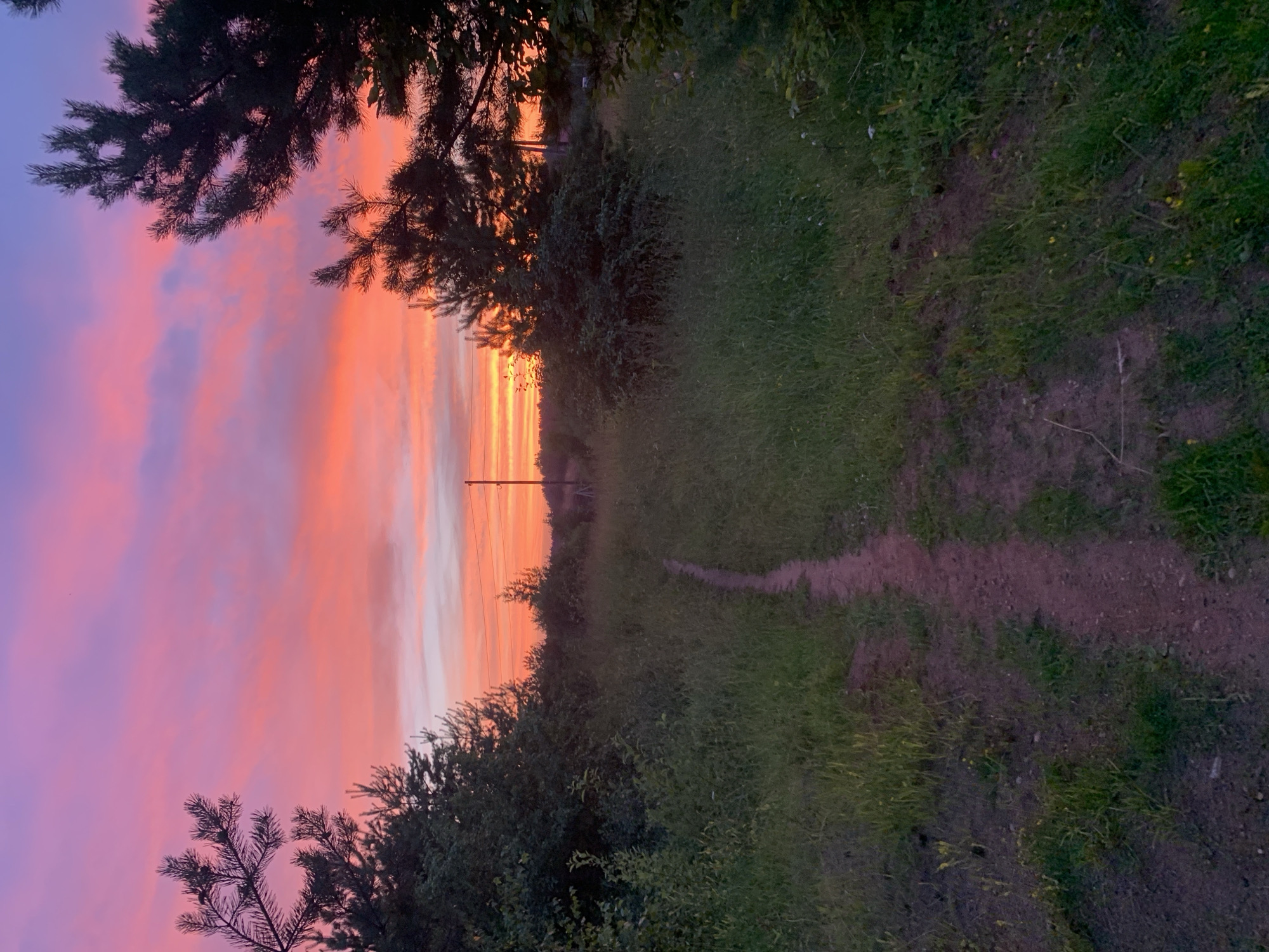 A dirt path leads through a grassy field towards a vibrant sunset. The sky is a gradient of pink, orange, and purple, with wispy clouds. Evergreen trees frame the scene on either side, with their dark silhouettes contrasting against the colorful sky. In the background, a utility pole with wires is visible, suggesting a rural or semi-rural location. The overall impression is one of natural beauty and tranquility. The image is likely taken in Sergeevo, Russia, as indicated by the metadata.