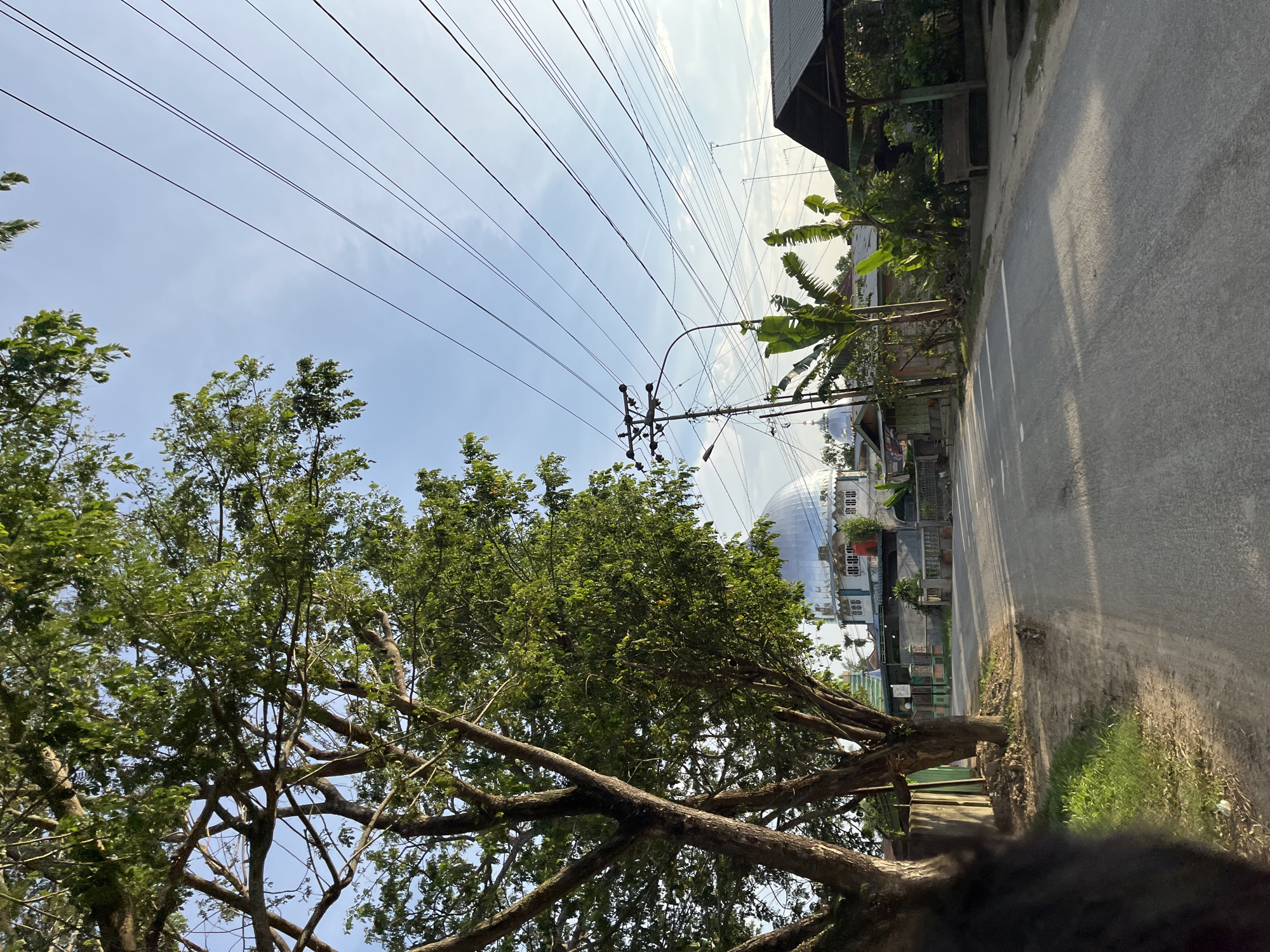 This is a medium-shot, eye-level, outdoor, daytime photograph taken on a paved road in Alurcucur, Indonesia. On the left side of the frame, large trees with lush green foliage dominate the foreground, with their branches extending upwards and outwards. Beyond the trees, a mosque with a silver dome and white walls is visible, situated behind a green fence. The road stretches into the distance, with a gentle curve to the right. Several utility poles with numerous wires crisscross the sky, some of which are silhouetted against the light blue sky. Banana trees and other tropical vegetation can be seen on the right side of the road, near a covered seating area with a wooden bench. The overall scene depicts a quiet, residential street bathed in the warm light of either early morning or late afternoon. There are no people visible in the frame.