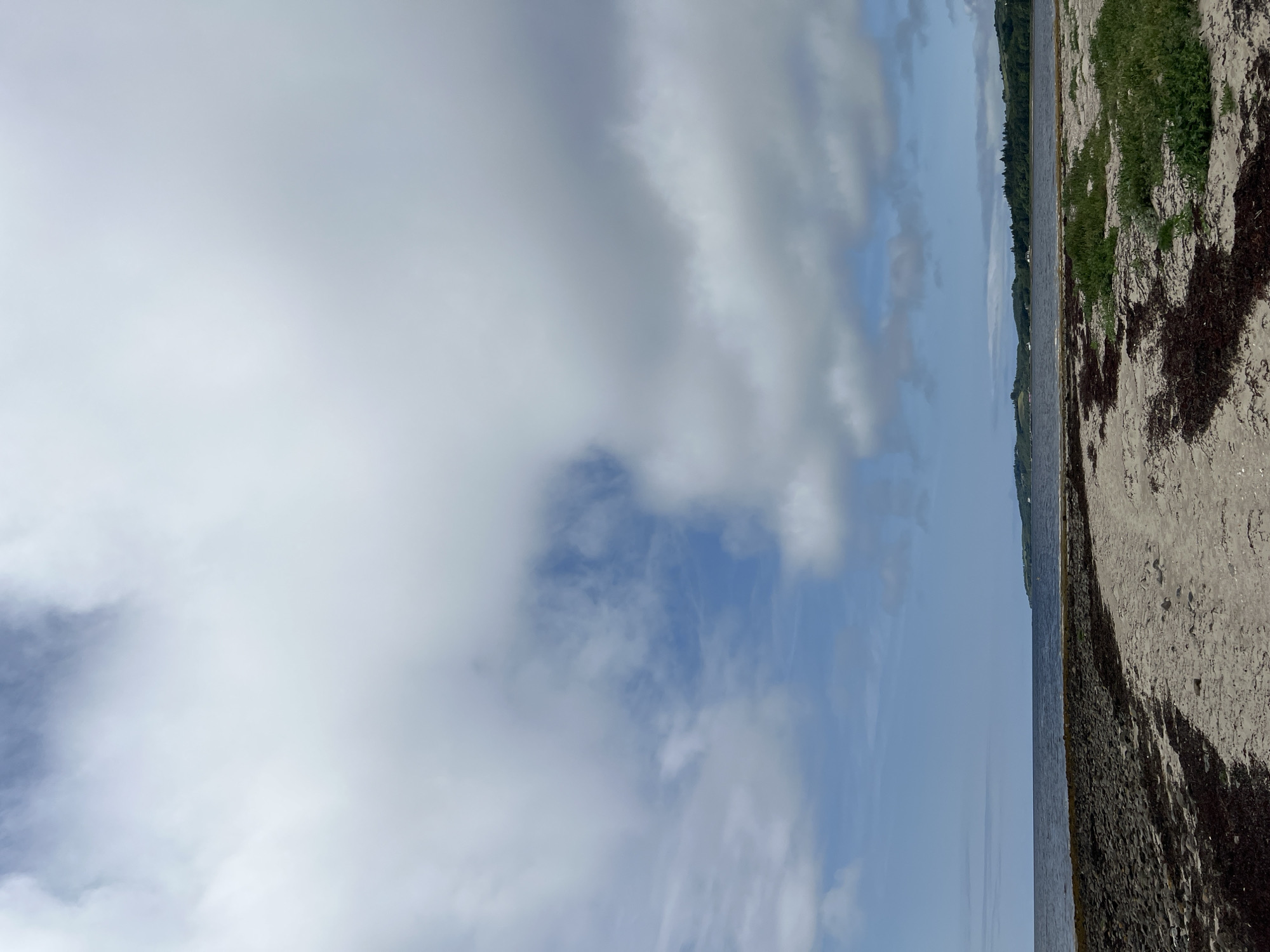 The image depicts a serene coastal landscape, likely located in Dunuisce, Ireland, under a partially cloudy sky. A sandy beach stretches across the foreground, scattered with seaweed and patches of green vegetation. The dark, calm water of the sea lies beyond the beach, with a faint outline of a distant shoreline visible on the horizon, characterized by rolling hills and scattered trees. The sky is a mix of pale blue and large, diffuse white clouds, with some patches of darker clouds suggesting changeable weather. The overall impression is one of a quiet, natural environment. There are no people or animals visible in the scene.