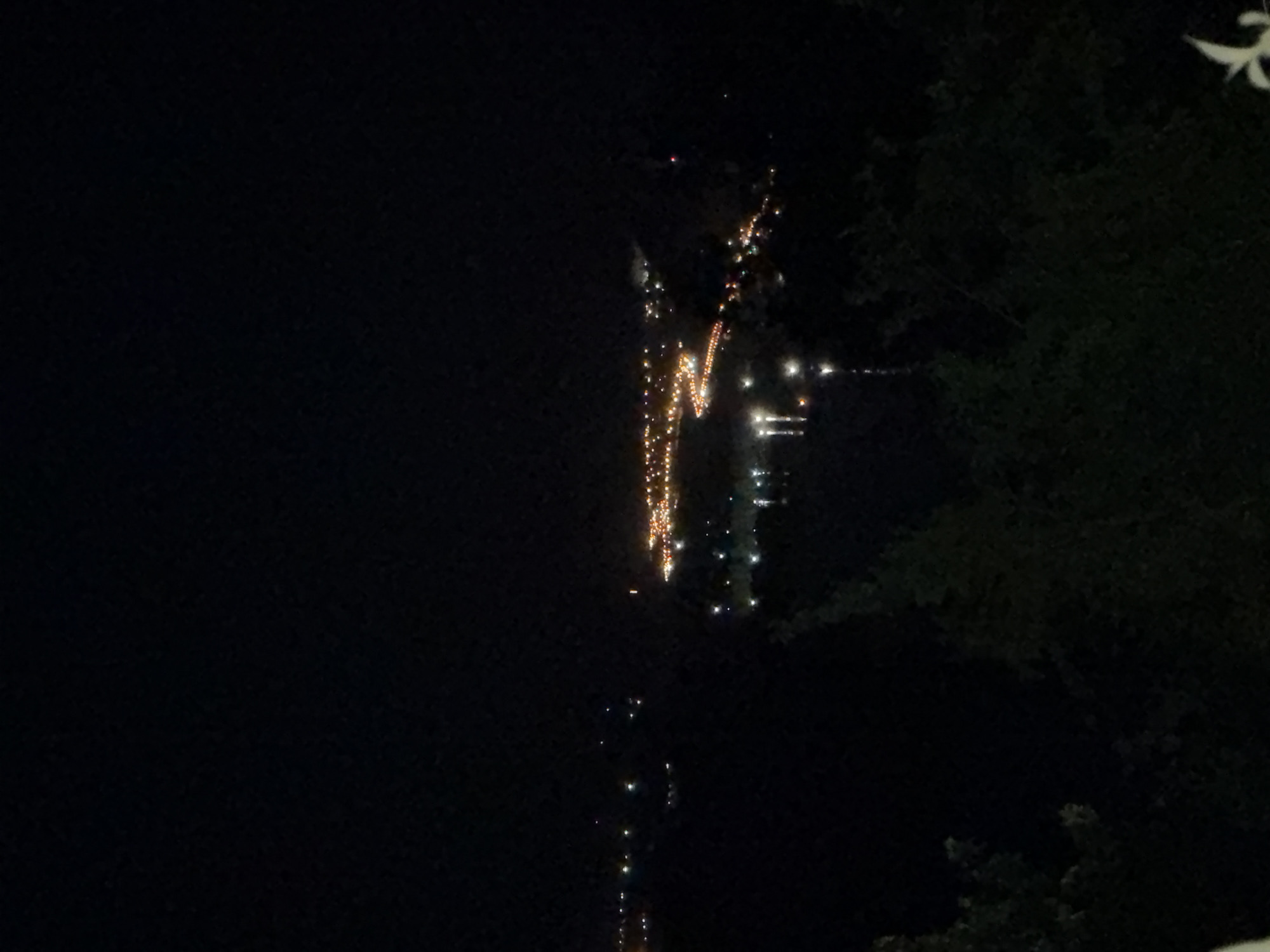 Captured at night in Samara, Russia, the image reveals a partial view of the city's lights reflected on the water. The photograph seems to have been taken from an elevated position, potentially overlooking the Volga River.
\
The city lights appear as a series of bright points scattered across the horizon, creating a visually striking contrast against the dark sky and water. A few trees with discernible leaves are also captured in the foreground.
