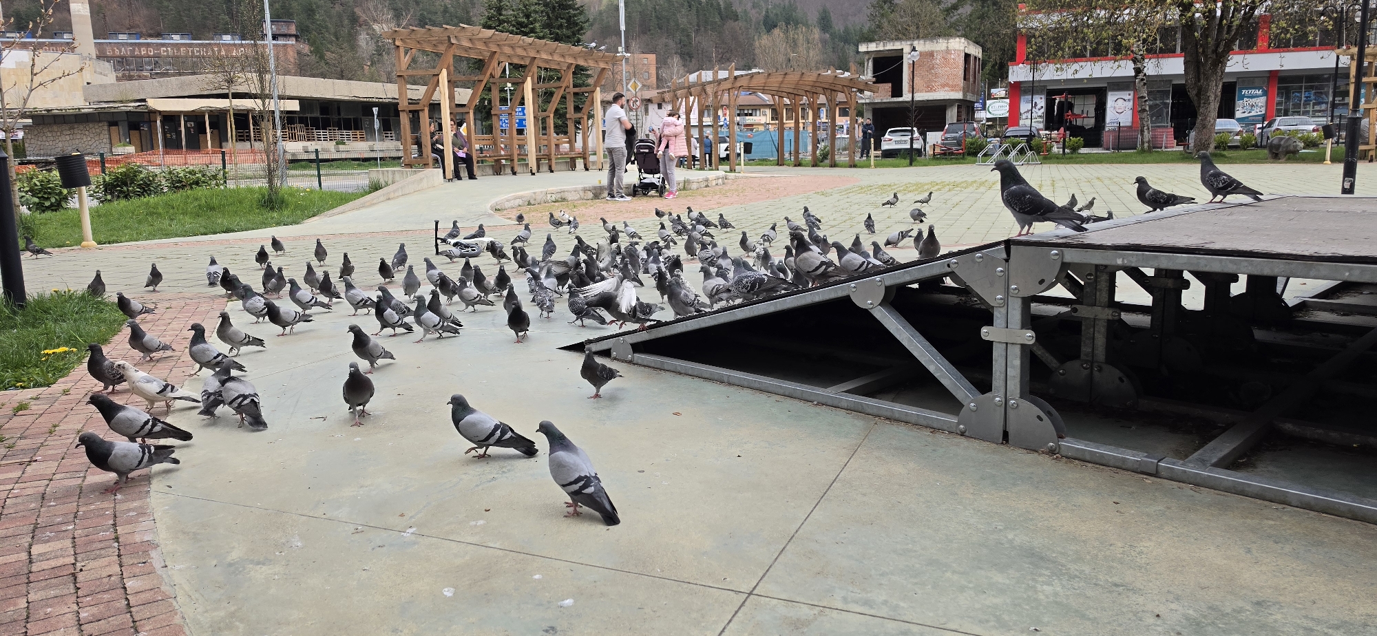 The image depicts a lively public square or park in Rudozem, Bulgaria, bustling with a large flock of pigeons and several people. In the foreground and midground, numerous pigeons, numbering over a hundred, are scattered across light-colored paved ground and an adjacent red-bricked pathway. Many are foraging, while others are standing or walking. A group of pigeons is also perched on and around a low, dark metal structure resembling a stage or ramp, which occupies the right side of the frame.
In the background, a few individuals are seen engaged in casual activities. A couple with a baby stroller stands near an elaborate wooden pergola, appearing to converse. Another person is seated on a bench beneath the same pergola. Further in the distance, other figures can be observed moving about the square.
The setting includes green grassy areas interspersed with the paving, and several trees, some bare-branched, indicating spring or early autumn. Behind the park area, various buildings line the landscape. A prominent older building features Cyrillic text on its facade, clearly reading "БЪЛГАРО-СЪВЕТСКАТА ДРУЖБА" (Balgarian-Soviet Friendship). To its right, there's a building under construction with exposed brick, and further along, a red-fronted commercial building with storefronts. Cars are parked along a street visible in the background.
The scene takes place during the daytime, likely under an overcast sky given the soft, diffused lighting and lack of strong shadows. The temperate weather is suggested by the clothing worn by the people. The overall atmosphere is calm and ordinary, capturing a typical day in a community gathering space.