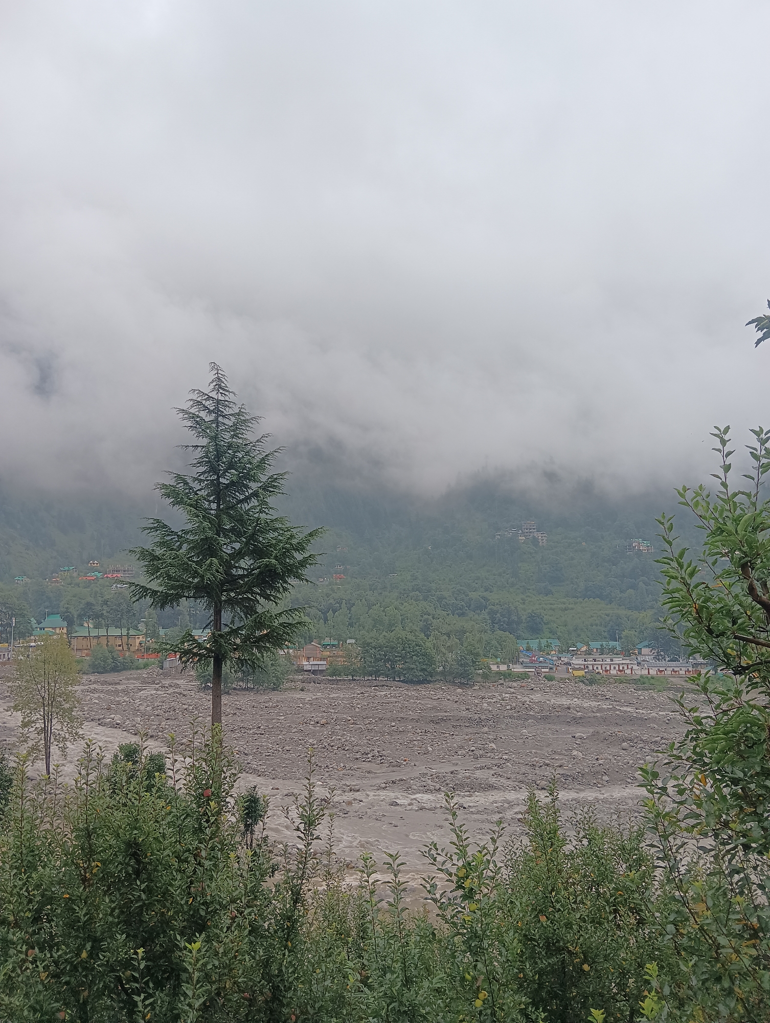The image depicts a misty, overcast day in Goshal, India, with a focus on the landscape and surrounding structures. In the foreground, lush green foliage, likely from trees or bushes, frames the lower portion of the scene. A tall, conical pine tree stands prominently in the middle ground, its branches spread wide against the hazy sky.
Beyond the pine tree, a wide riverbed filled with numerous grey stones stretches across the landscape. The river itself, a murky brown, flows through the stony terrain. In the distance, a collection of buildings with multi-colored roofs, likely a village or town, is nestled among the trees that cover the rolling hills. The upper portion of the image is dominated by thick, grey clouds that obscure the mountain peaks, giving the scene a subdued and atmospheric quality. No people are visible in the image.