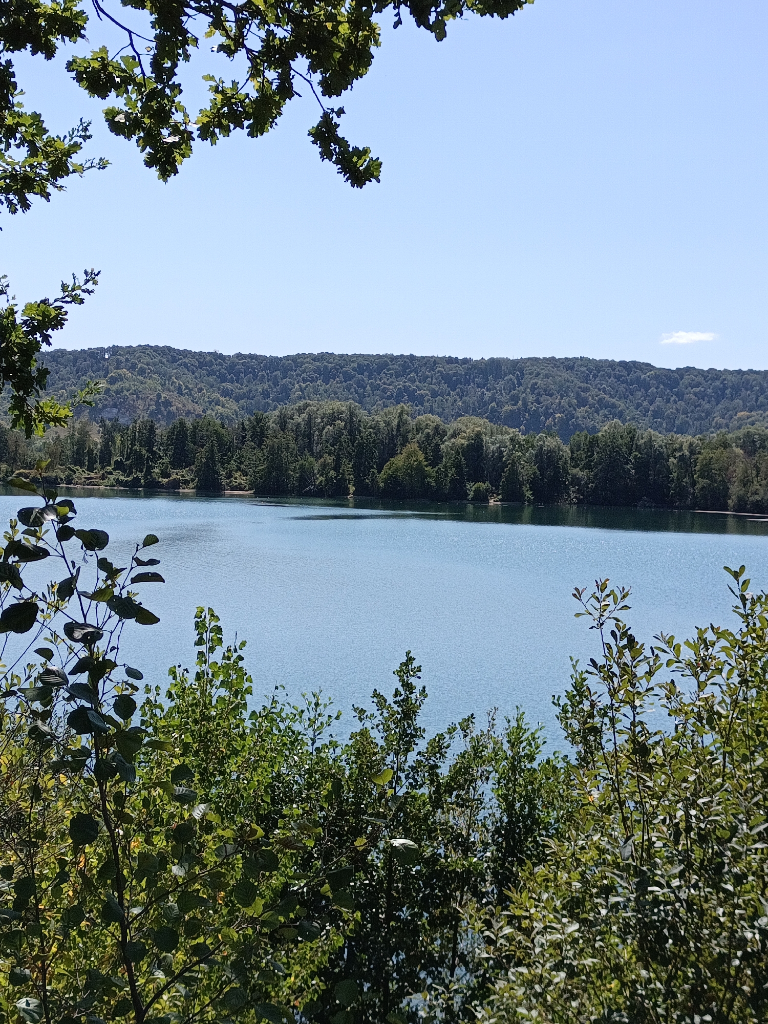 This is a landscape photograph of a lake in Jumièges, France. The foreground is filled with lush green foliage, with dark green leaves and branches of trees and bushes obscuring the lower portion of the image. A large body of clear, blue water dominates the middle ground, its surface rippled by a gentle breeze. In the background, a dense forest covers rolling hills, with a clear blue sky above. There is a thin, wispy cloud near the horizon line. The scene appears to be tranquil and natural, with no visible people or man-made structures.