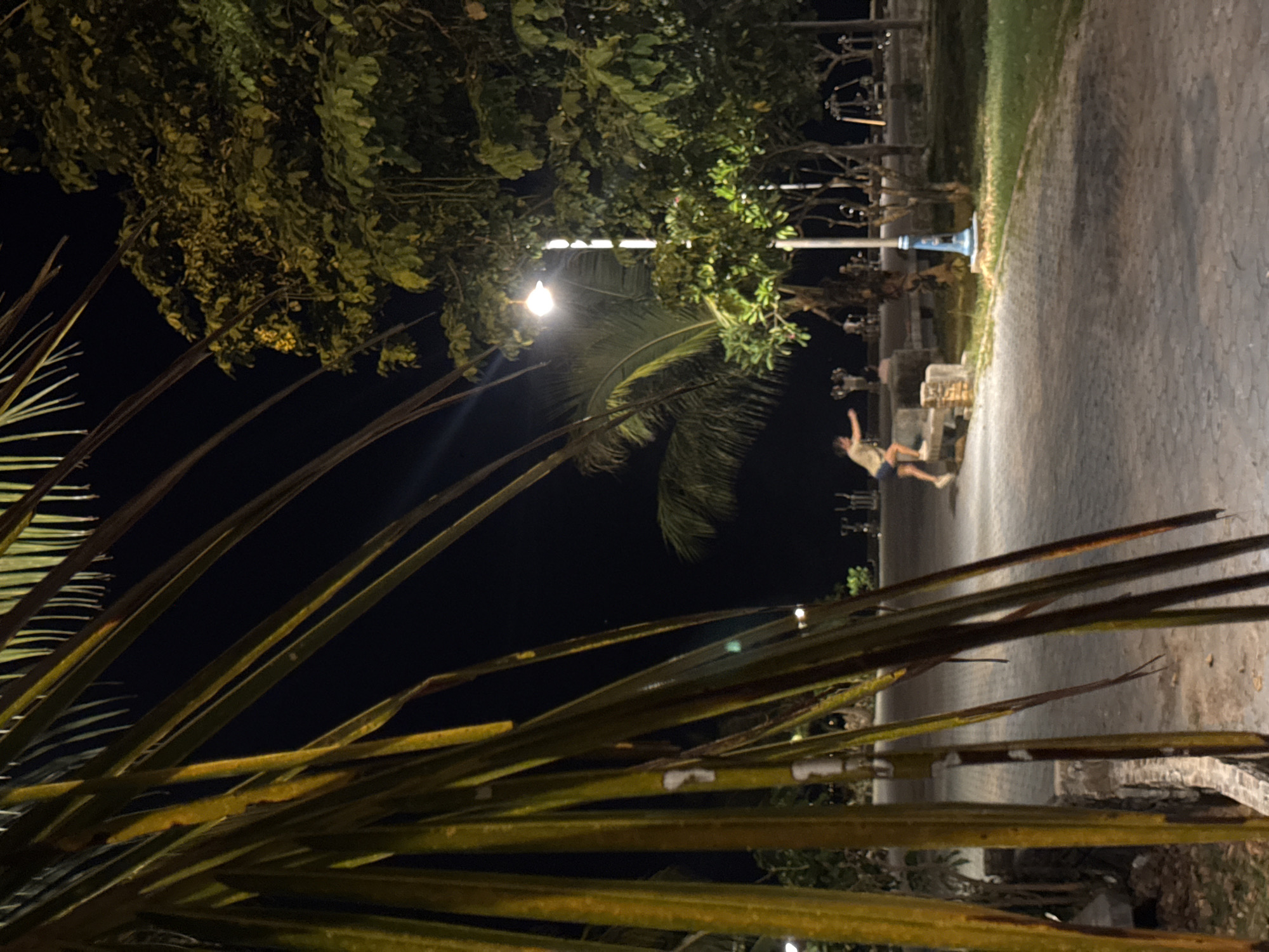 The image depicts a nighttime scene in a park-like area near a body of water, possibly on Koh Phangan, Thailand, given the reference to ตำบลเกาะพะงัน. A person is observed mid-jump from a stone bench, with their body angled towards the right of the frame. The individual is wearing a light-colored t-shirt and dark shorts. The surroundings include a paved pathway, benches, trees, and palm fronds in the foreground, partially obscuring the view. A streetlamp with a glowing bulb illuminates the area, casting light on the pathway and surrounding greenery. In the background, there are subtle hints of more park infrastructure, such as playground equipment and distant lights, suggesting an area accessible to the public. The overall atmosphere is dark, with the artificial lighting creating a contrast against the natural darkness of the night.