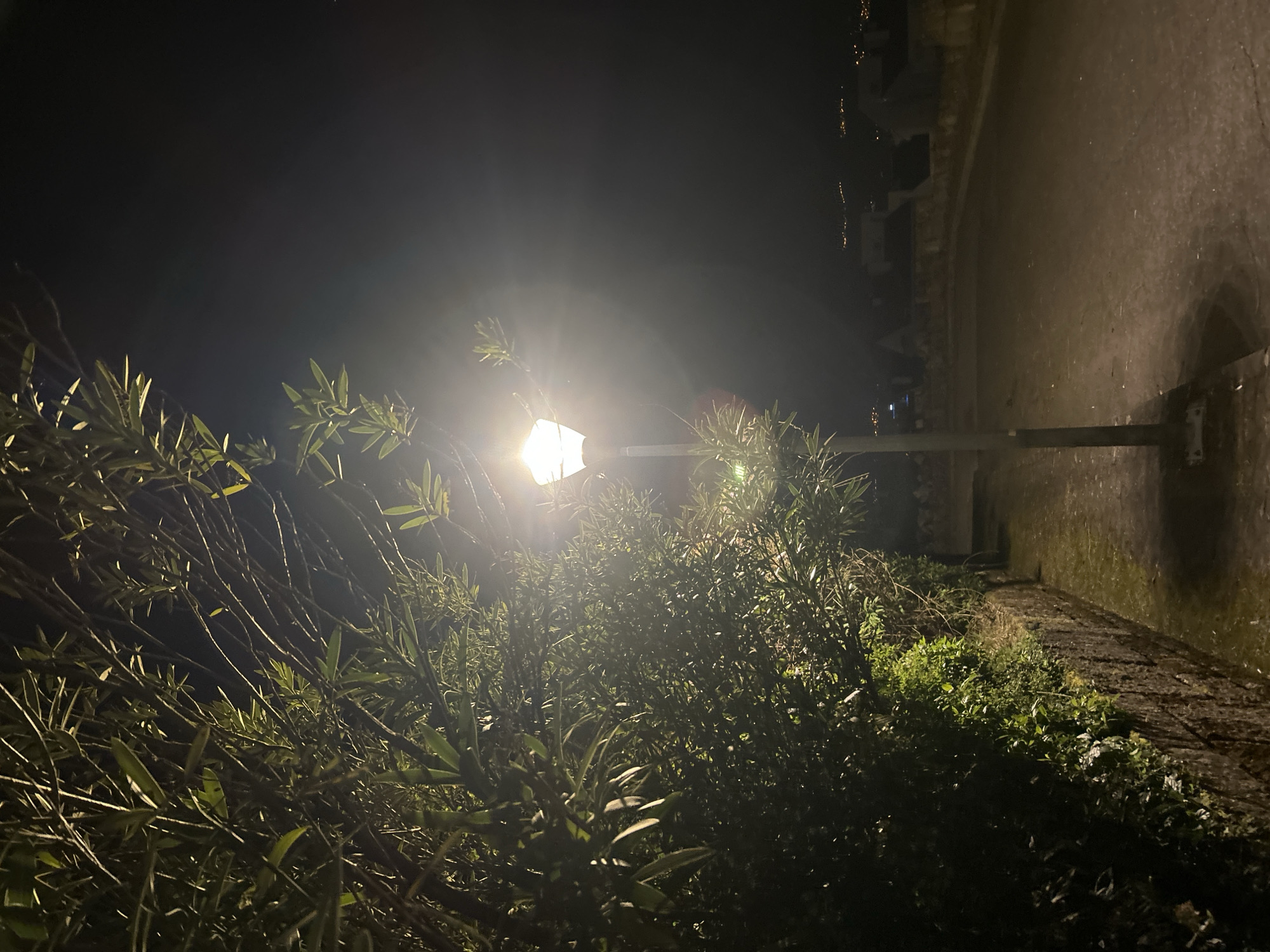 The image shows a night scene in Vila Real, Portugal. A streetlamp illuminates a bush and the adjacent sidewalk. The light source is bright, with a visible flare. The bush is dense with leaves. The sidewalk appears to be made of stone or concrete, with a textured surface. The background is dark, with faint lights from buildings visible in the distance along the top of the frame. The sidewalk is bordered by a wall on the right. There are no people visible in the frame.