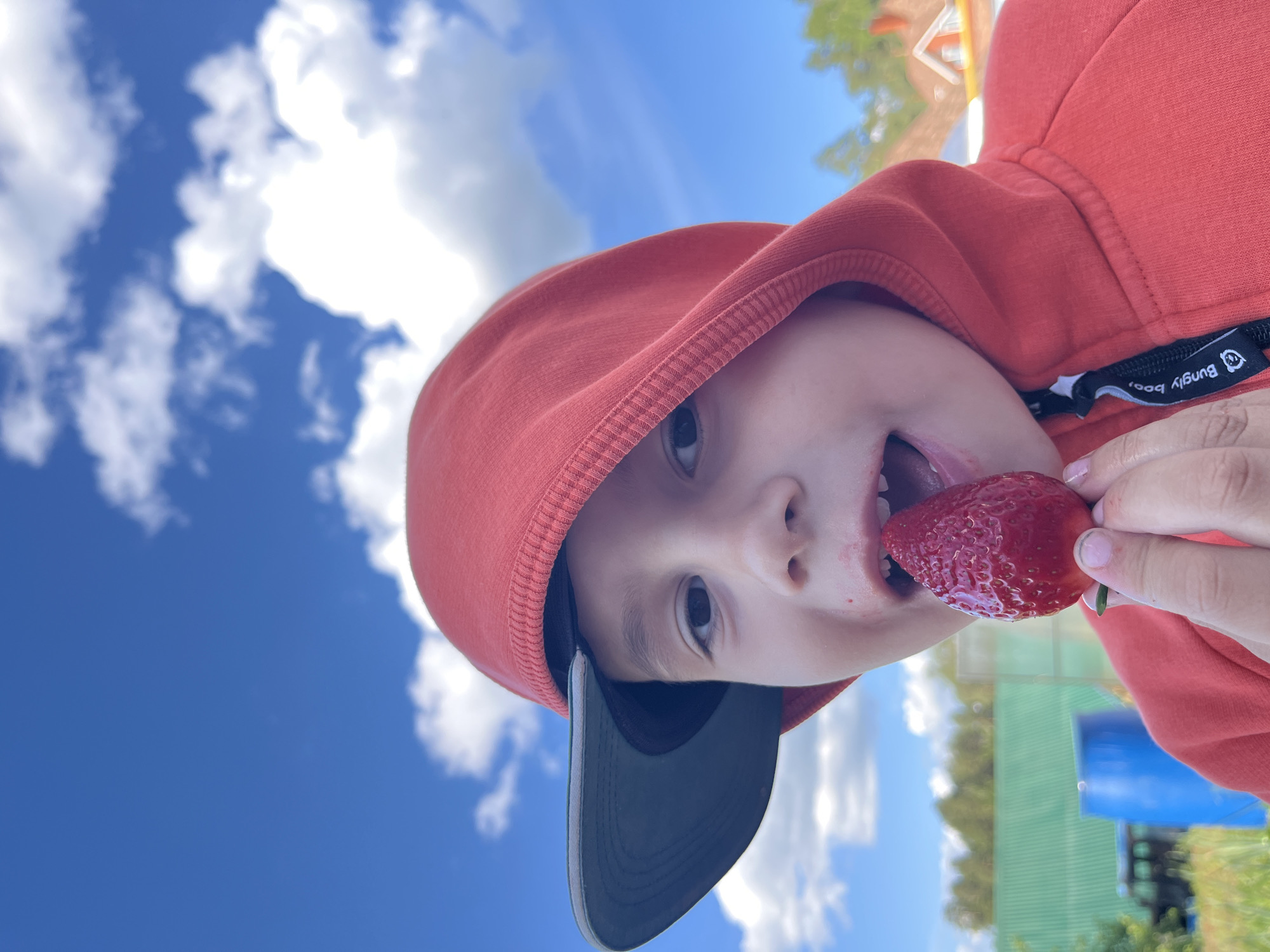 A child wearing a red hooded sweatshirt and a baseball cap is holding a large strawberry in their mouth. The child appears to be outdoors, with a bright blue sky dotted with fluffy white clouds visible in the background. Part of a green building or structure and a blue container are also in the background. While the exact location in Chaikovsky, Russia, cannot be determined from the image alone, the presence of the building and container suggests a semi-rural or park-like setting.