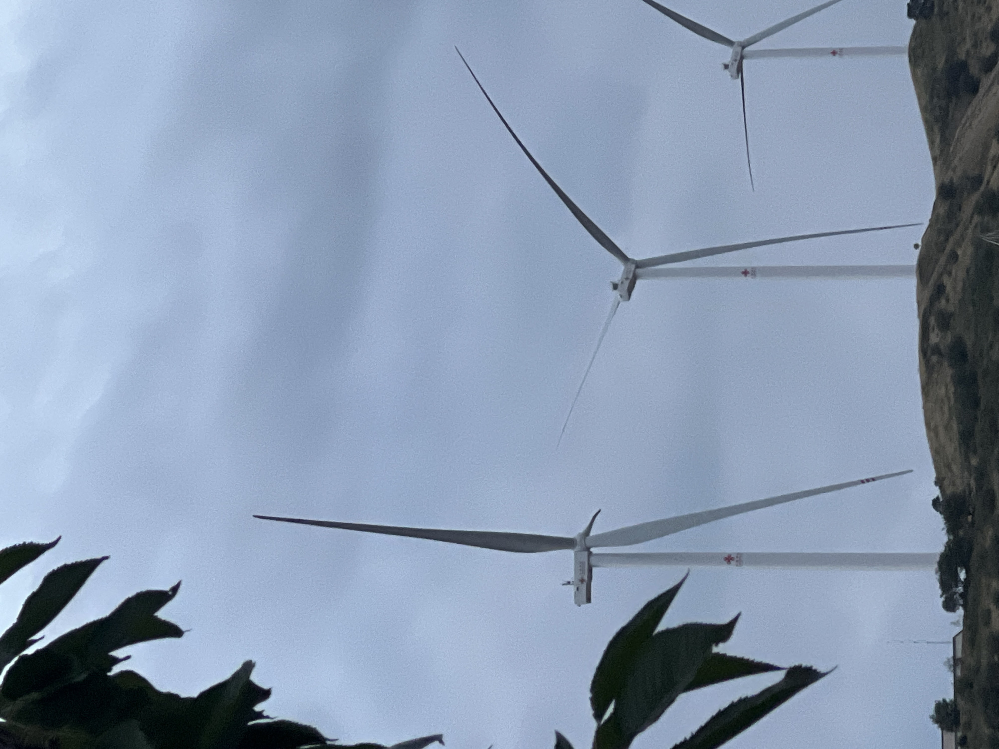 The image shows a landscape featuring three wind turbines on a hilly terrain under a cloudy sky. The turbines are white with long blades, and some have red markings. In the foreground, on the left, dark green leaves partially obscure the view of the first turbine. The middle turbine is positioned further back and to the right of the first, with its blades angled upwards. The third turbine is the furthest to the right and appears smaller in the frame, with its blades angled downwards and to the left. The ground beneath the turbines is covered in vegetation. In the distance, a building or structure is partially visible behind some trees. The overall atmosphere is subdued due to the overcast weather.
