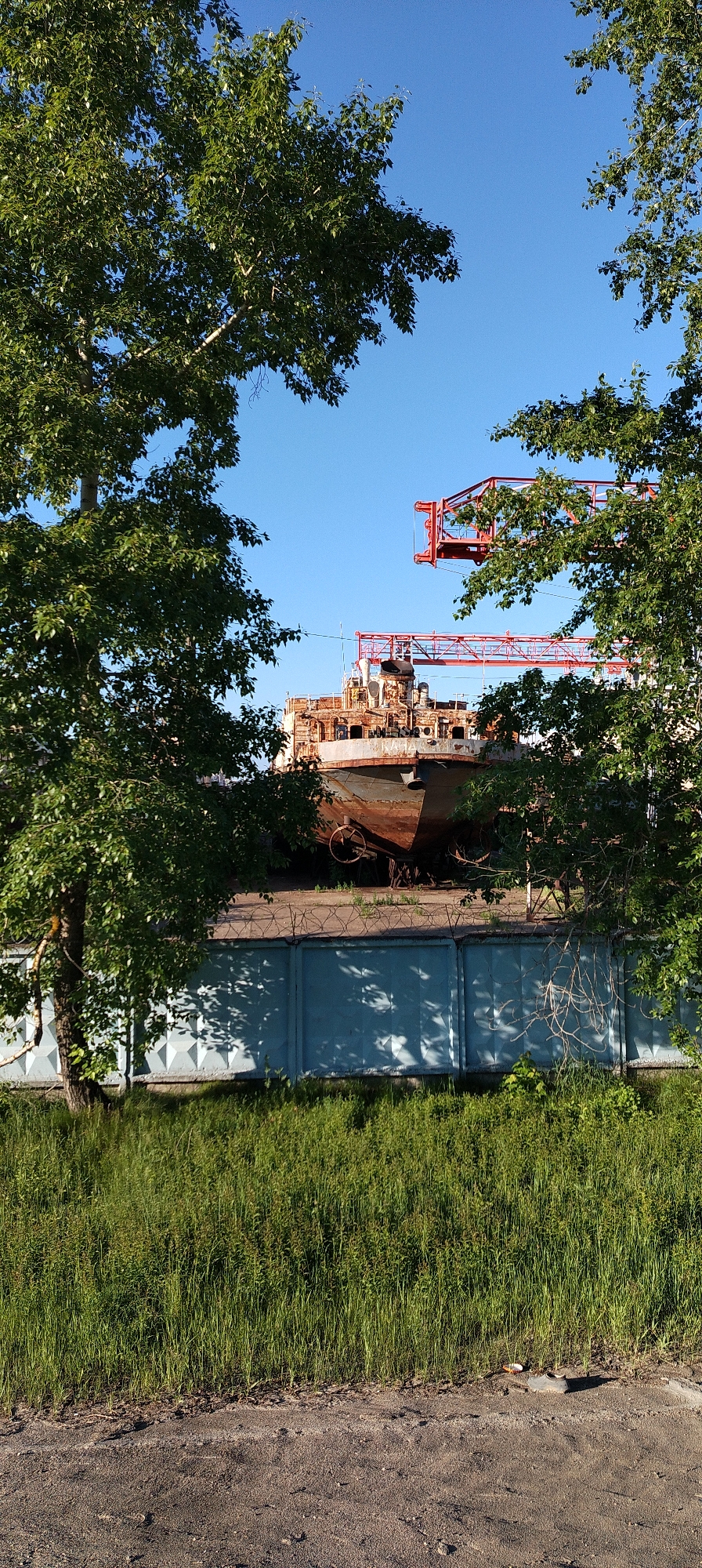 This vertical shot captures an industrial scene, likely a shipyard or dry dock, in Chaikovsky, Russia, on a clear, sunny day. The primary subject is a large, weathered ship, heavily rusted with hues of orange and brown, resting on land rather than in water, suggesting it is undergoing repair, decommissioning, or storage. Its hull and superstructure show significant corrosion.
The view of the ship is partially framed and obscured by abundant green foliage from several trees on the left and right, and across the top. Behind the ship, a prominent red industrial crane structure is visible against the bright, cloudless blue sky.
In the mid-ground, a sturdy fence separates the viewer from the ship. This fence is constructed from light blue or grey concrete panels and is topped with several strands of barbed wire, indicating a restricted area. Shadows from nearby trees are cast across the fence panels. The foreground consists of a rough dirt or gravel path, leading to a dense strip of tall, vibrant green grass and weeds.
The scene is devoid of people, conveying a sense of quiet industry. The bright sunshine and clear shadows indicate it is daytime. No discernible text is visible within the image.
