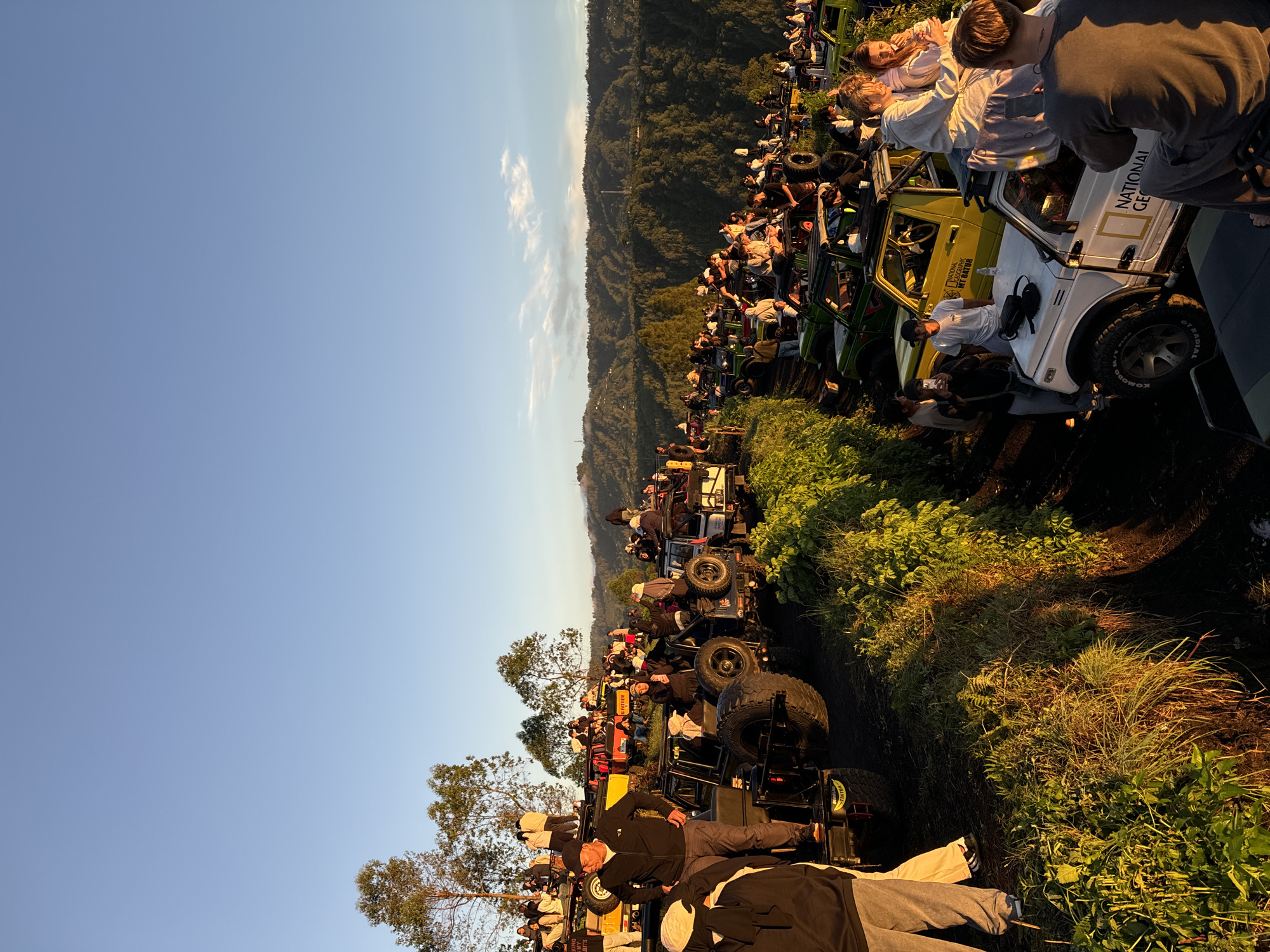 A vibrant outdoor scene in Kintamani, Indonesia, captures a large gathering of people and numerous off-road jeeps. The image appears to depict an early morning or late afternoon setting, characterized by warm, low-angle sunlight illuminating the landscape and casting long shadows. The sky is a clear, light blue with minimal, wispy clouds, suggesting fair weather.
The primary subjects are a diverse group of people, mostly adults, dressed in casual attire suitable for outdoor activities. They are seen standing around, sitting on the hoods or roofs of the jeeps, and interacting with each other, suggesting a social gathering or a pre-tour briefing.
The scene is dominated by a fleet of custom-modified off-road vehicles, resembling Suzuki Jimnys, in various colors including white, yellow, and green. These jeeps are equipped with roll cages, large tires, and cargo racks, indicating their purpose for adventurous terrain. One white jeep clearly displays the text "NATIONAL GEOGRAPHIC" and "MT GATOR," while a yellow one also shows "INTERNATIONAL GEOGRAPHIC MT GATOR," suggesting these vehicles are part of a specific tour operation.
In the background, a vast expanse of lush, forested mountains or hills stretches across the horizon, characteristic of the volcanic landscapes found in Kintamani. The ground where the vehicles are parked appears to be a dirt track or an unpaved area, flanked by green grass and dense vegetation, some of which is brightly lit by the sun. The overall impression is one of anticipation and excitement before an off-road expedition or a scenic exploration, likely a popular jeep sunrise tour common in the region.