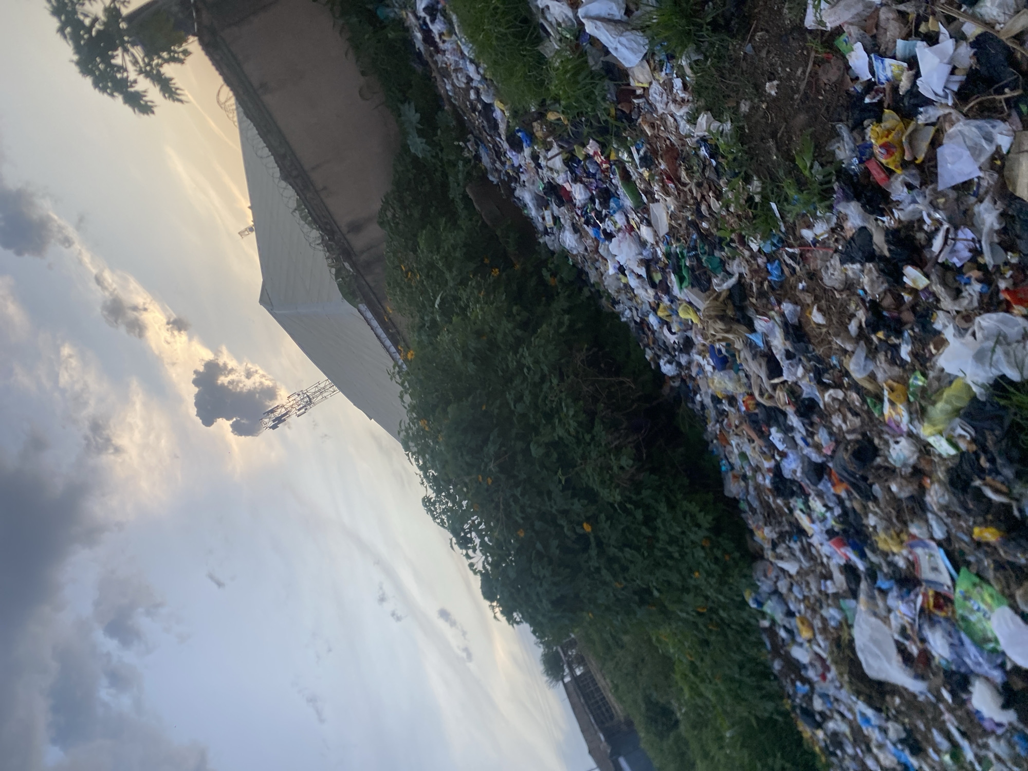 This outdoor image, taken in what appears to be a vertical orientation and requiring a 90-degree clockwise rotation for standard viewing, captures a scene of severe environmental pollution under a cloudy sky.
The upper portion of the correctly oriented image (originally the left side) is dominated by a cloudy sky, showcasing a mix of light and dark gray clouds. Patches of the sky exhibit a warm, golden glow, suggesting either sunrise or sunset. A tall communication tower or cell mast is visible against the sky in the distance, partially obscured by clouds. Further left, part of a light-colored building or wall, topped with barbed wire, is present, alongside the distinctive fronds of a palm tree.
The lower and right areas of the properly oriented image (originally the bottom and right sides) are overwhelmed by a vast accumulation of garbage. The ground is covered with countless pieces of trash, including plastic bags, food wrappers, paper, and other discarded refuse, intermingled with dry soil and sparse green vegetation. A band of denser green vegetation, featuring bushes and some plants with small yellow flowers (possibly sunflowers), runs horizontally across the midground, creating a visual divide between the sky/buildings and the extensive waste pile.
No people are visible in the scene, and there is no discernible text. The diffuse lighting conditions, combined with the warm hues in the sky, suggest the time of day is either early morning or late afternoon. The overall impression is one of significant environmental neglect and degradation, consistent with an informal dumping site in an urban or peri-urban area like Jos, Nigeria.