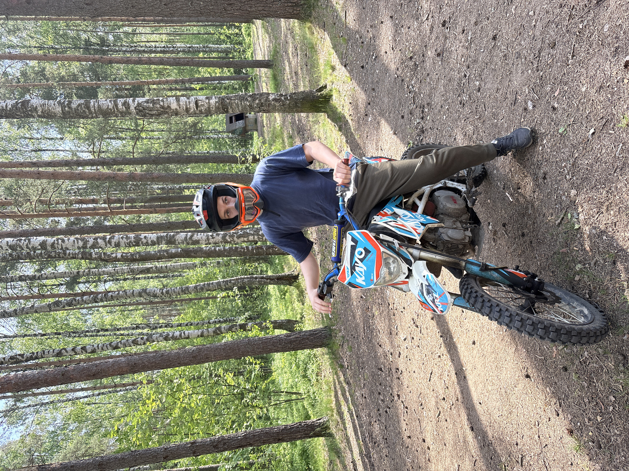 A young male is depicted sitting on a dirt bike in a sunlit forest in Оптимист Снт, Russia. The male, appearing to be a teenager or young adult, is wearing a dark blue t-shirt, olive green pants, and dark athletic shoes. He is equipped with a black, white, and orange full-face motocross helmet and orange goggles, through which his eyes are visible. He is positioned atop a white, blue, and orange Kayo KRZ dirt bike with knobby tires, holding the handlebars which feature a blue PROTAPER pad. His feet are placed on the dirt ground, and he looks directly forward towards the viewer with a neutral expression. The environment is a forest with numerous tall birch trees (white bark) and pine trees (darker bark). The forest floor is composed of light brown dirt, covered with pine needles, scattered leaves, and sparse patches of green grass. Dappled sunlight filters through the tree canopy, casting distinct shadows. In the distant background, a small, weathered wooden structure with a peaked roof is visible among the trees.