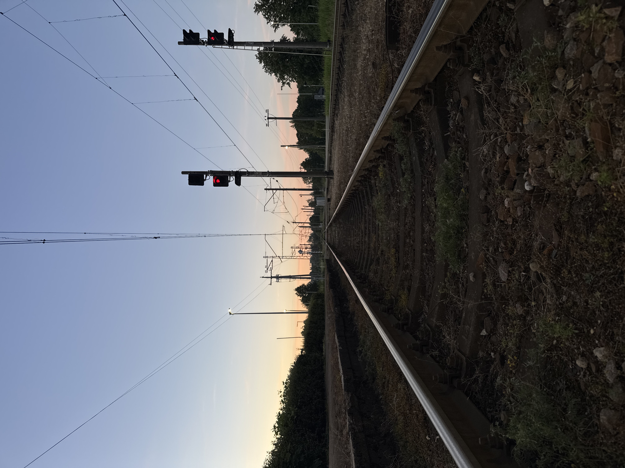 The image depicts a railroad track at dusk, with overhead power lines stretching into the distance. Two sets of traffic lights, both displaying red, are visible on poles along the tracks. The sky is a gradient of pale blue to soft orange near the horizon. Lush green foliage lines the left side of the tracks, while trees and more vegetation are present on the right. The ground around the tracks is covered in ballast, grass, and scattered stones. The scene appears to be an outdoor railway station or junction, likely in Carnikava, Latvia, given the context. There are no people or vehicles visible in the image. The overall impression is one of quiet stillness, with the red lights suggesting a halt or waiting period.