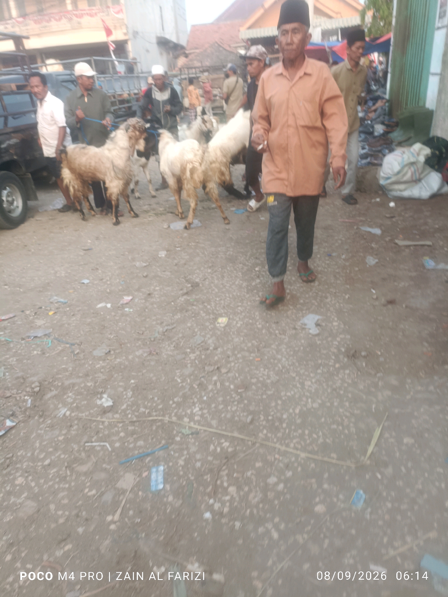 This is a full, eye-level, outdoor shot of a livestock market in Arosbaya, Indonesia. Several men and goats are in the frame. In the foreground, a man wearing an orange shirt and black pants, with a black cap, walks towards the right. To his left, several goats with tan and white fur are present. Behind the man in the orange shirt, more people and goats are visible. A truck is positioned on the far left of the image, and various market stalls and buildings can be seen in the background. The ground is covered with dirt and debris. The date and time "08/09/2026 06:14" are displayed in the lower right corner, along with "POCO M4 PRO | ZAIN AL FARIZI" in the lower left corner.