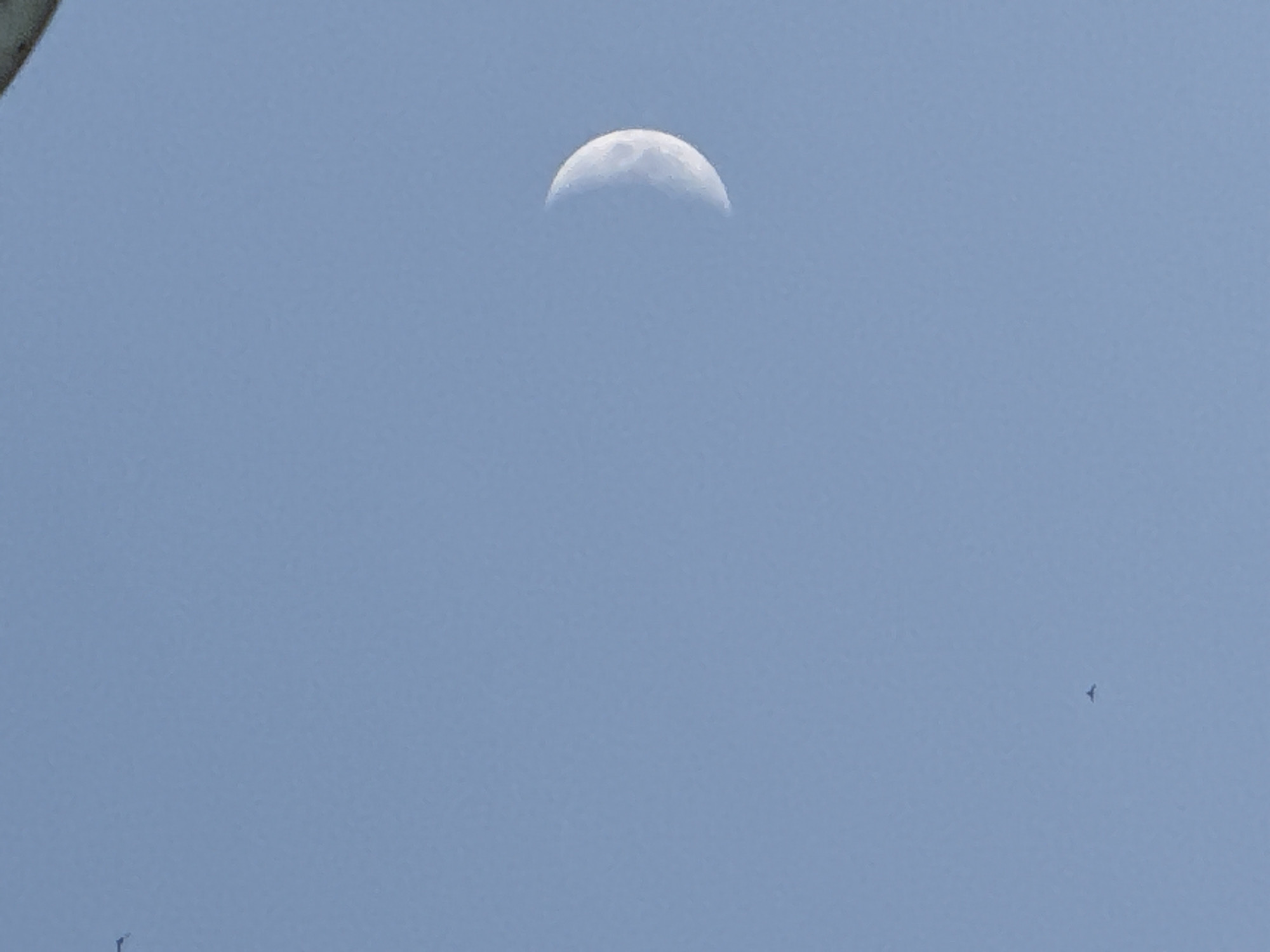 The image shows a crescent moon in a clear blue sky. Two small dark objects, likely aircraft, are visible in the sky. One is located in the upper left quadrant of the image, and the other is in the lower central quadrant. The image appears to be a photograph taken from ground level, looking upwards. There is no discernible information in the image that would allow for the identification of its location in Zaporizhzhia, Ukraine.