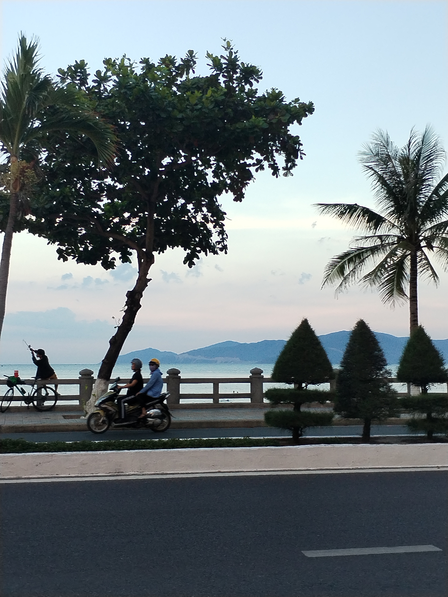The image shows a seaside scene in Bac Nha Trang Ward, Vietnam. A road occupies the foreground, with a white line marking its edge. Beyond the road is a sidewalk, followed by a short concrete and stone balustrade. Behind the balustrade is the sea, with mountains visible in the distance under a pale sky.
On the sidewalk, a person on a bicycle stands near the balustrade, appearing to fish with a long pole. Next to them, a scooter with two people aboard is in motion. Three small, conical trees stand to the right of the scooter, near a tall palm tree. Another large tree with broad leaves is situated near the fishing person.