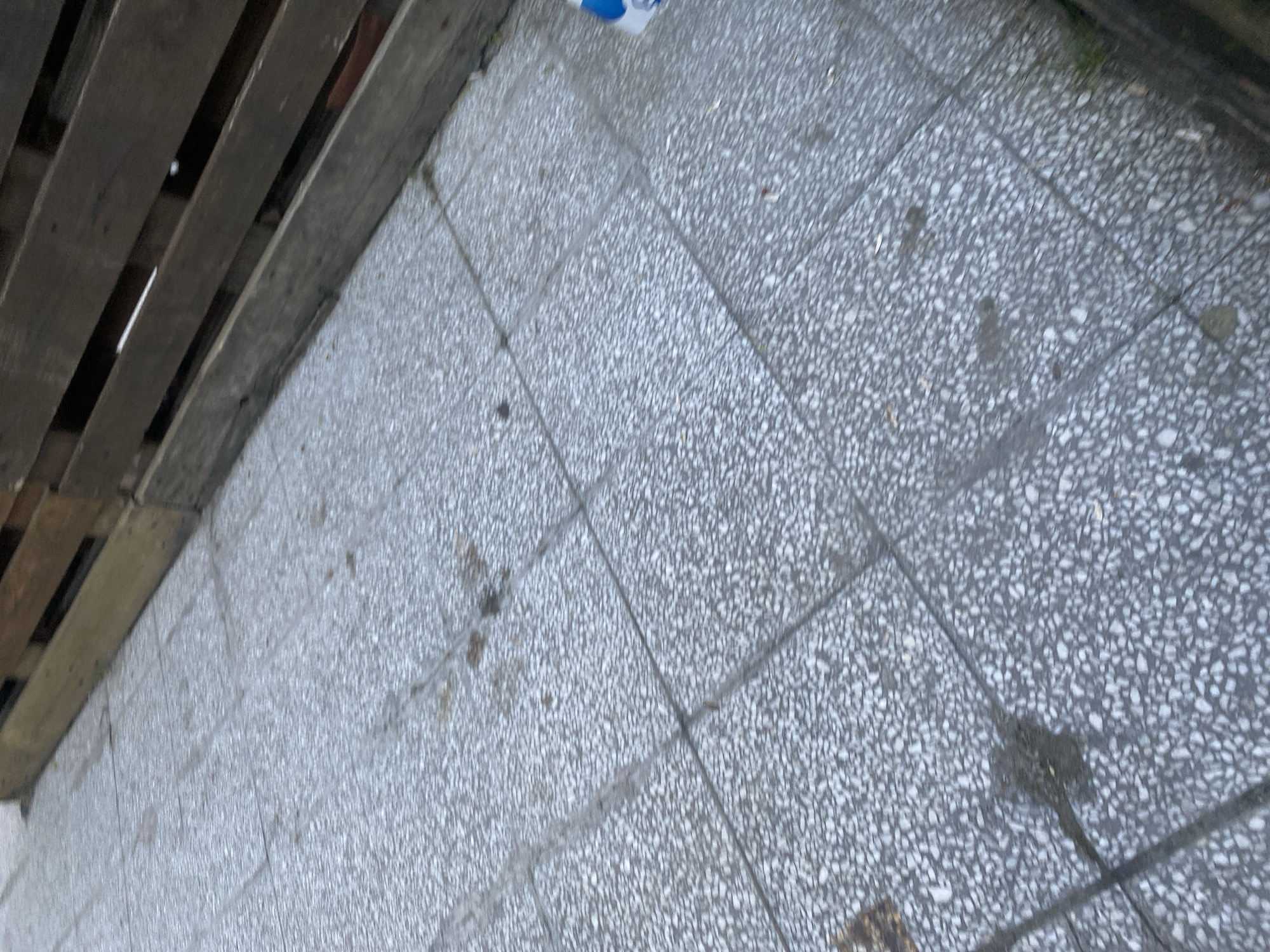 The image depicts a section of outdoor pavement composed of grey, textured tiles. Adjacent to the tiles is a wooden pallet. The image was taken at an oblique angle. The location is likely Sofia, Bulgaria based on the user prompt.