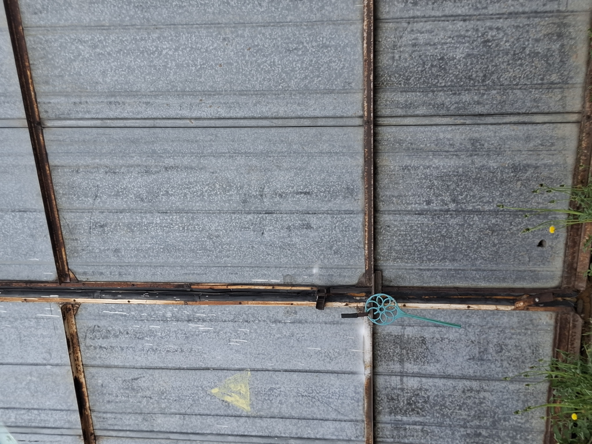 The image shows a close-up of a weathered, metallic structure, possibly a garage door or a section of a building. The surface consists of horizontal panels with a faded, galvanized finish. Rust is visible on the frame supports that intersect the panels. A faded yellow triangle is barely visible on one panel. A plastic, turquoise-colored object, possibly a decorative item, is attached to the structure. Weeds and wildflowers grow near the edge of the structure. There is no evidence in the image that can confirm the location is in Chaikovsky, Russia.