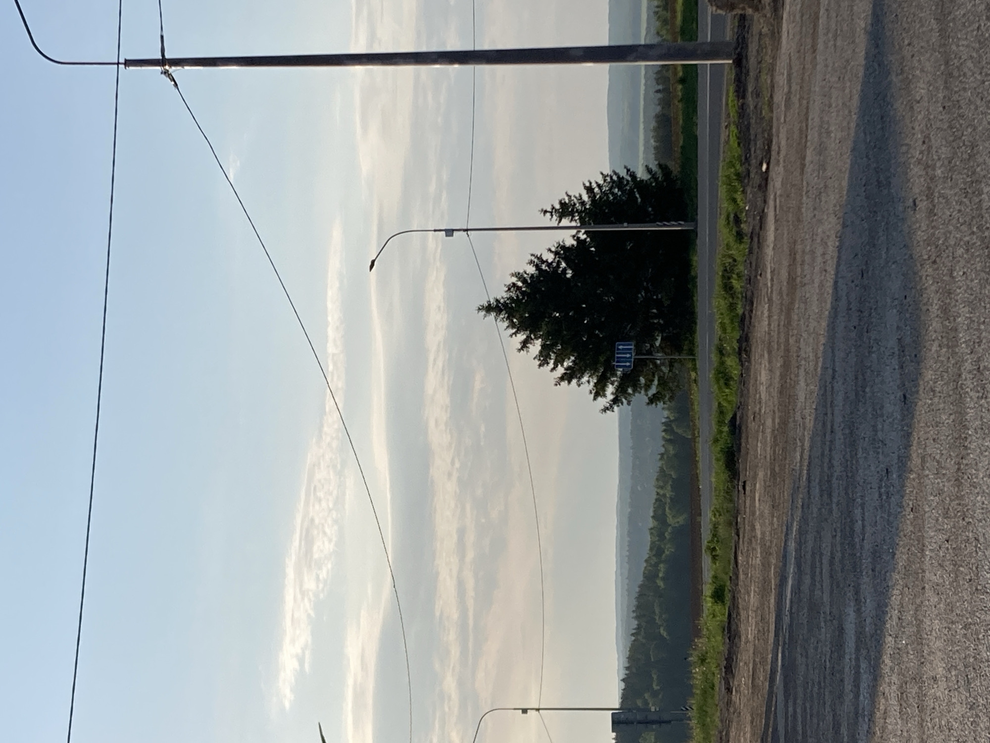 The image presents a rural roadside scene in Verkh-Sosnova, Russia. An asphalt road occupies the foreground, transitioning to a grassy verge. Beyond lies a dense forest lining the horizon, partially obscured by atmospheric haze. Power lines and utility poles bisect the sky, which is marked by wispy cirrus clouds. A solitary tree stands adjacent to the road, partially obscuring a blue and white road sign. No people or animals are visible. The overall setting suggests a remote or semi-rural location.