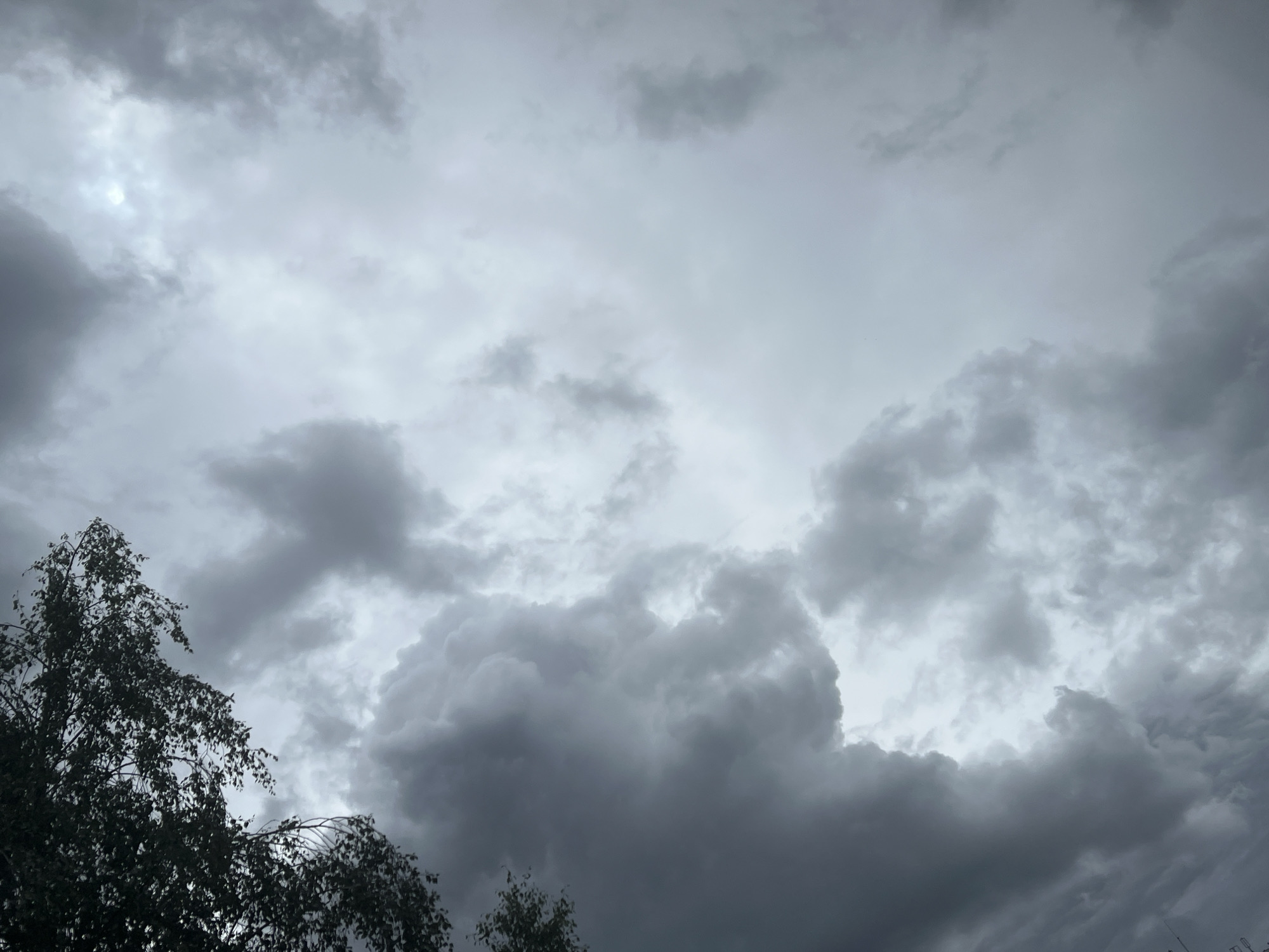 The image shows a close-up of a cloudy sky with dark, heavy clouds dominating the left side and lighter, scattered clouds on the right. A portion of a dark, leafy tree branch is visible in the upper left corner, obscuring some of the sky. The overall lighting suggests an overcast day, possibly before or during a storm. There are no people, specific city landmarks, or distinct objects visible that would allow for the precise identification of a location within Warsaw, Poland. The scene is exclusively focused on the atmospheric conditions.
