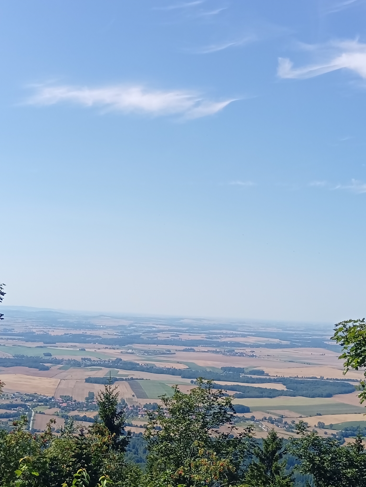 The image captures a wide, panoramic view of a rural landscape from an elevated vantage point, likely from the Ślęża mountain near Sobótka, Poland. The sky is a clear, pale blue with wispy white clouds stretching horizontally across the upper portion of the frame. The middle ground is dominated by a patchwork of agricultural fields, with variations in color suggesting different crops or stages of harvest, including shades of brown, gold, and green. Small villages or hamlets are visible, characterized by clusters of buildings with red rooftops. Roads weave through the landscape, connecting these settlements. The foreground is filled with the dense foliage of trees, with some evergreen trees standing out amongst the deciduous ones. The overall impression is one of a serene, sun-drenched day in the countryside.