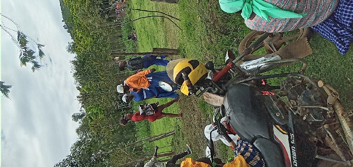 Memory
