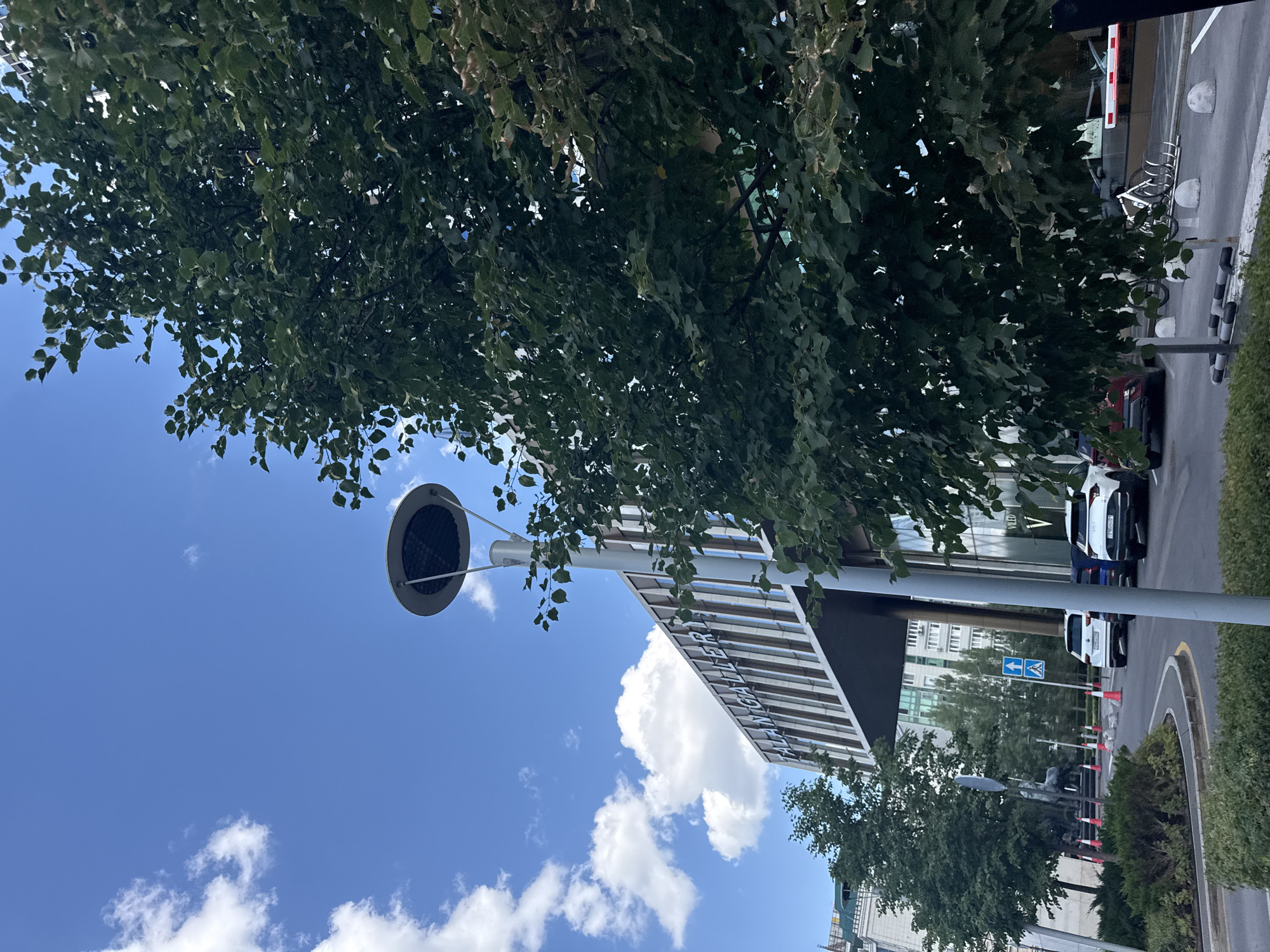 The image captures an exterior view of the "ALAN GALLERY" in Astana, Kazakhstan, under a bright blue sky with scattered white clouds. A large, leafy tree dominates the right side of the frame, partially obscuring the modern architecture of the gallery, which features a striped facade and a projecting canopy. In front of the gallery, several cars are parked, including a white Kia Sportage and another white SUV. A bicycle rack with several bikes is visible on the sidewalk. A modern streetlamp with a circular fixture stands to the left of the tree, closer to the viewer. The foreground shows a curved road with traffic cones and a low hedge. In the background, other buildings and trees are visible, indicating an urban setting.