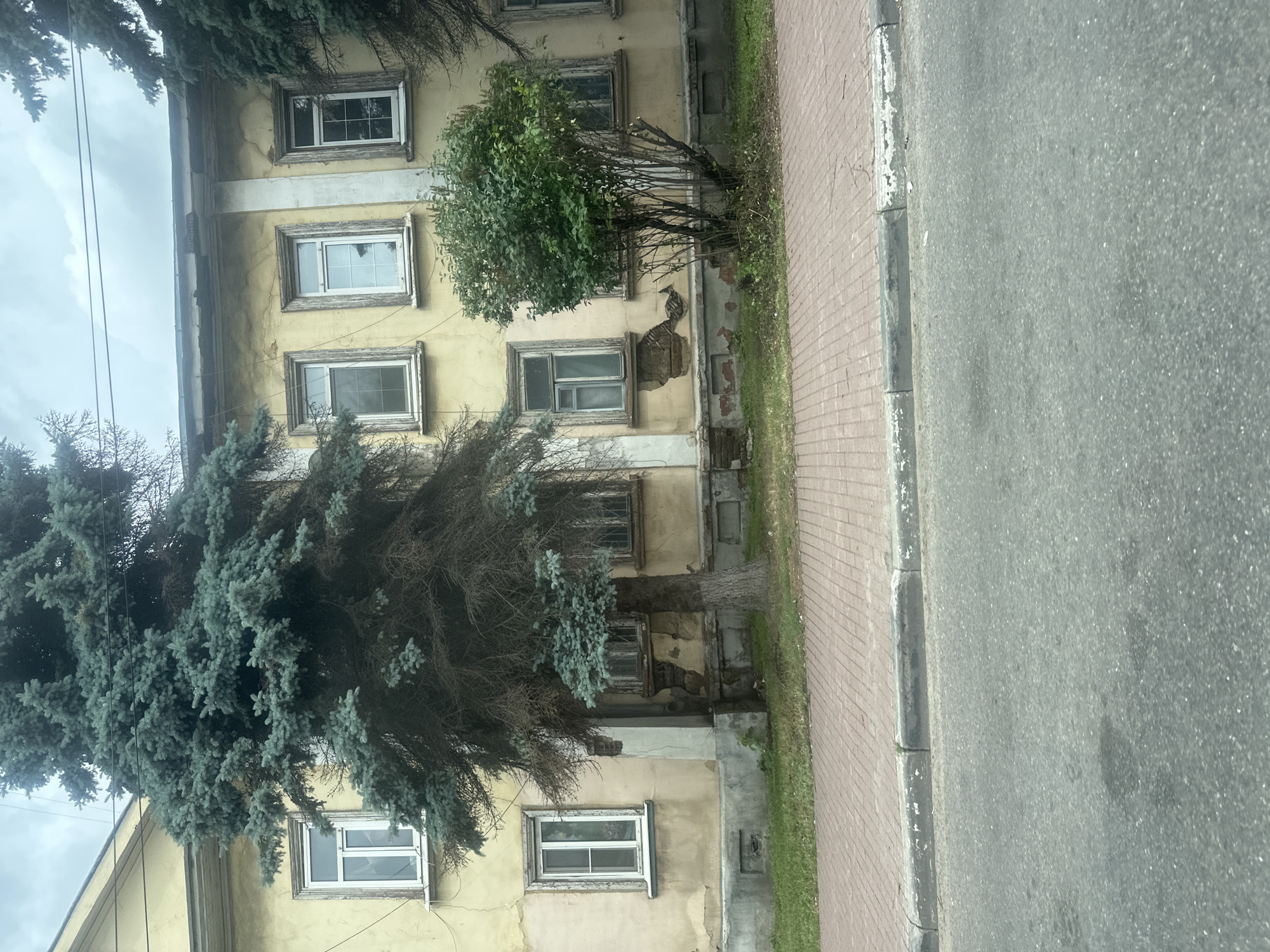 The image shows a weathered yellow apartment building with multiple windows, some of which appear to be boarded up or in disrepair. The building's facade shows signs of peeling paint and crumbling plaster, particularly around the lower sections. In front of the building, there is a line of evergreen trees, one of which is quite large and dominates the left side of the frame, obscuring a significant portion of the building. To the right of this large tree, there is a smaller, bushier green tree. A red brick walkway runs along the front of the building, separated from the asphalt road by a concrete curb. The sky is overcast, suggesting a cloudy day. This scene is located in Dzerzhinsky, Russia.