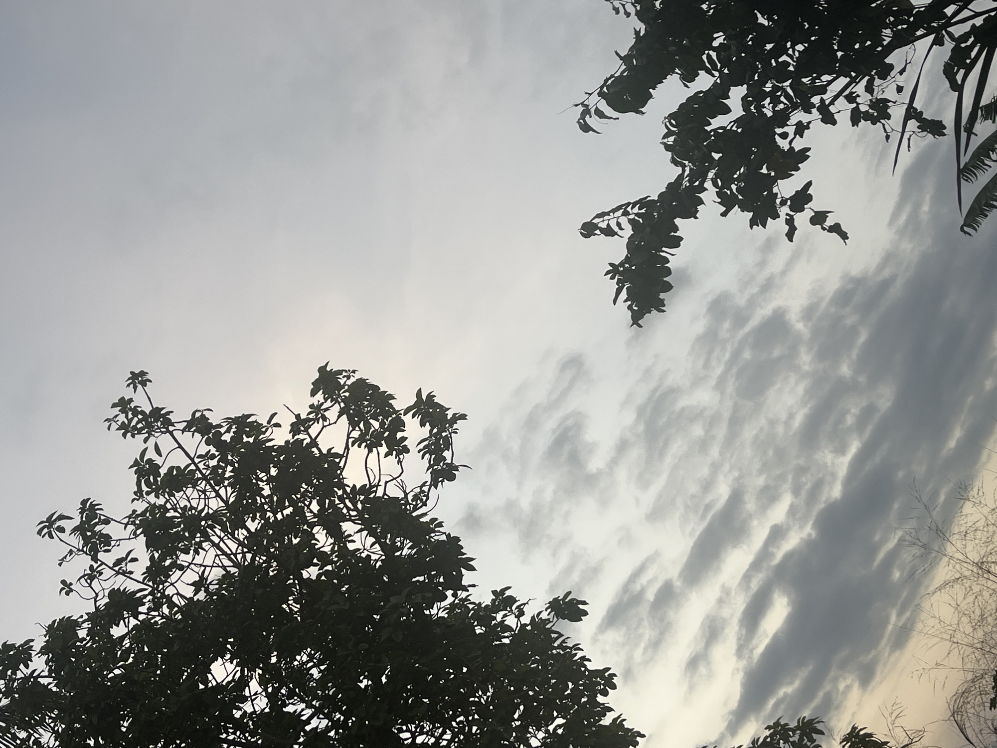 The image depicts a cloudy sky, partially obscured by tree branches and foliage. The trees are silhouetted against the bright sky. The clouds are streaky and gray. There are no people visible. There are no further details to ascertain a precise location within Ikot Ekpene, Nigeria.