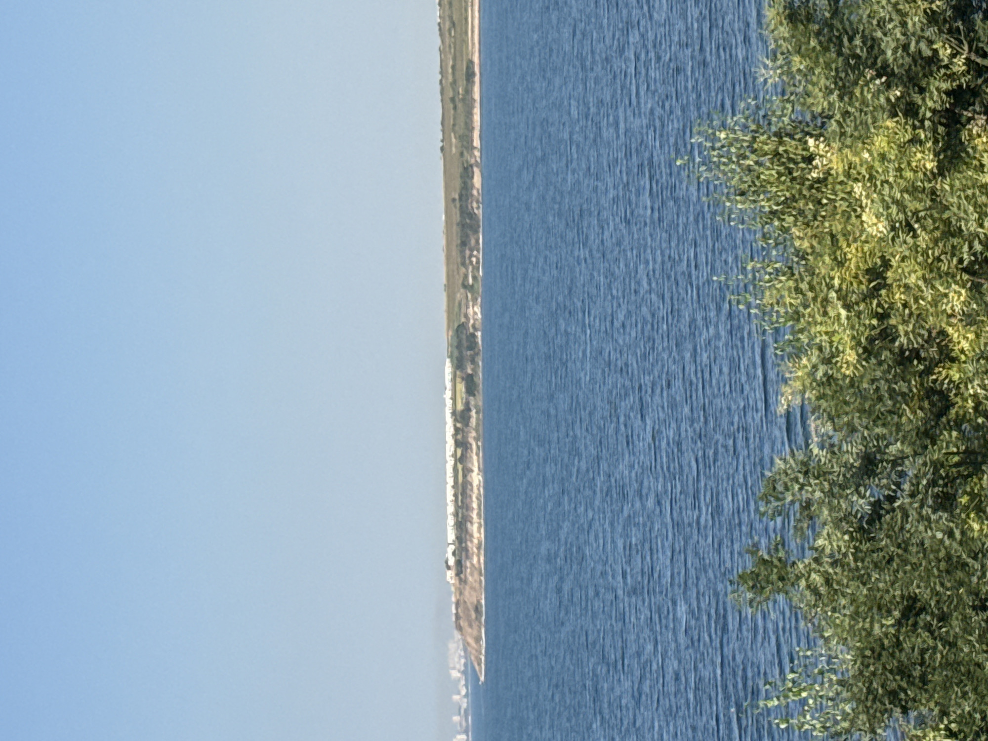 This is a vertical, eye-level, medium shot photograph taken on a clear day. The image captures a coastal landscape with a body of water in the foreground and a cliffside with buildings and greenery in the background. The sky is a pale blue, taking up the top third of the frame. Below the sky is the vast expanse of the sea, which appears deep blue with subtle rippling textures. In the distance, a rugged cliff rises from the sea. The cliff is dotted with white buildings, suggesting a settlement or resort. The top of the cliff is covered in green vegetation, with some patches of bare earth visible. On the far left of the horizon, a city skyline can be faintly seen. The bottom of the image is dominated by the lush green foliage of trees and bushes, framing the scene and obscuring the immediate foreground. Based on the visual cues of coastal geography and the visible architecture, the location is likely the northern coast of Pomorie, Bulgaria, potentially near the old salt pans or the area leading towards the St. George monastery. There are no people or animals visible in the image, nor any specific actions or interactions occurring.