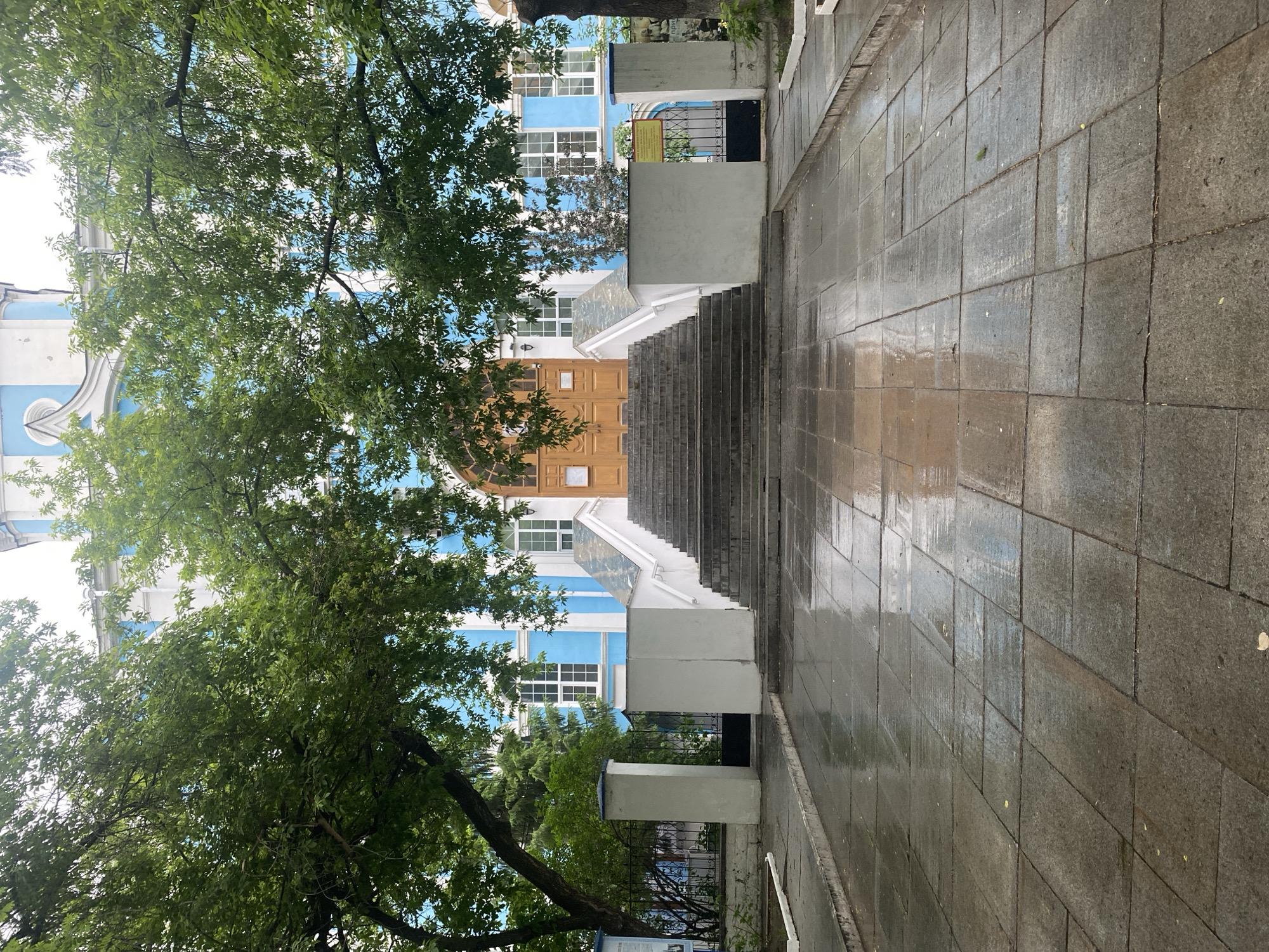 This image shows the Ascension Church in Yekaterinburg, Russia. The viewer is positioned at the base of a set of stone steps leading up to the church's entrance. A large tree with dense green foliage partially obscures the left side of the building. The building is painted in blue and white, with a large wooden door. The sky is visible in between the leaves. The stone paving is wet. There is no sign of human activity.
