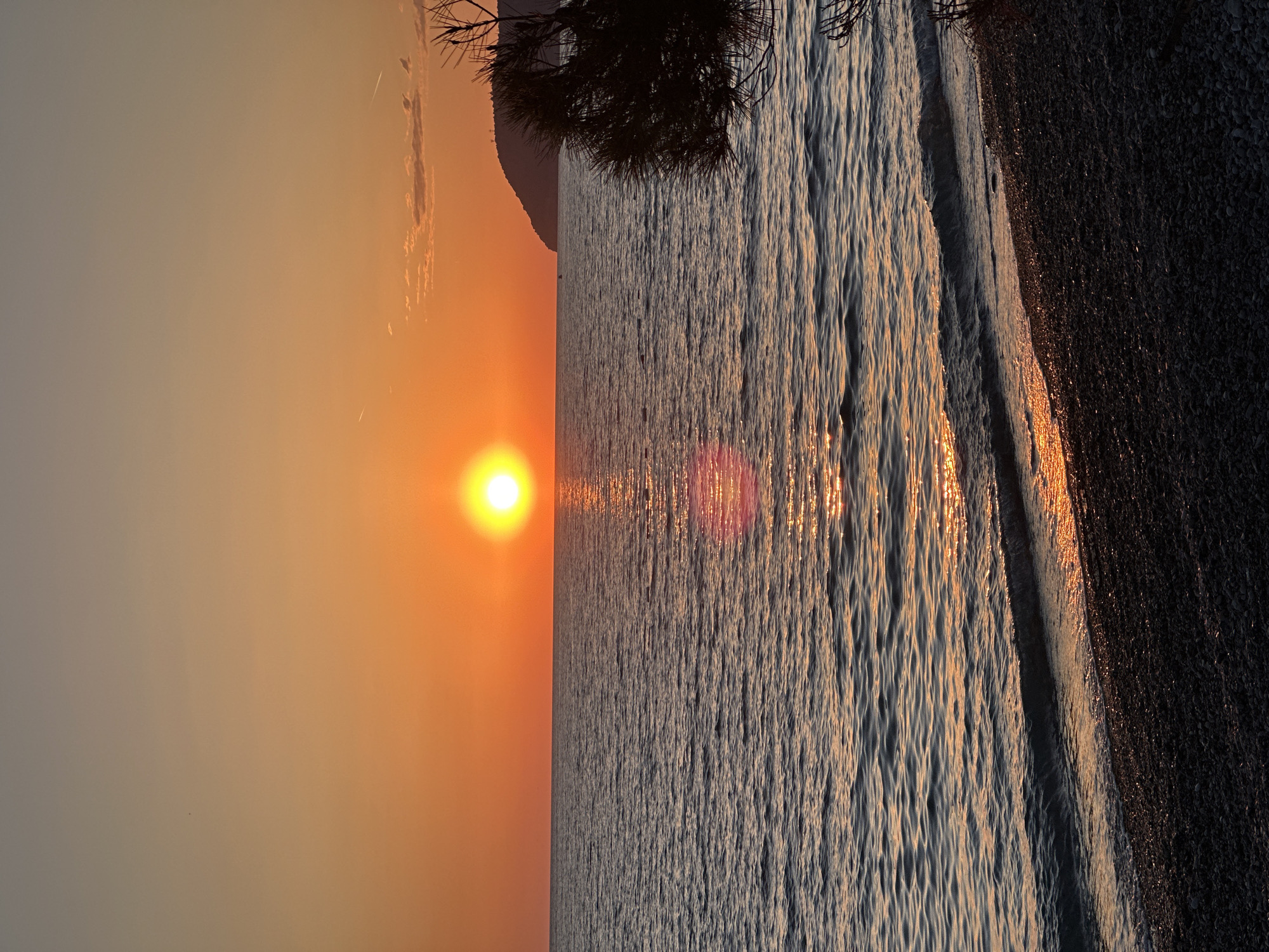 The image shows a sunset over the sea in Šušanj, Montenegro. The sun is setting on the left side of the image, casting a golden light across the sky and water. There's a shoreline on the right side. The sea's surface shows waves reflecting the sunlight. A tree branch is visible at the top of the image.