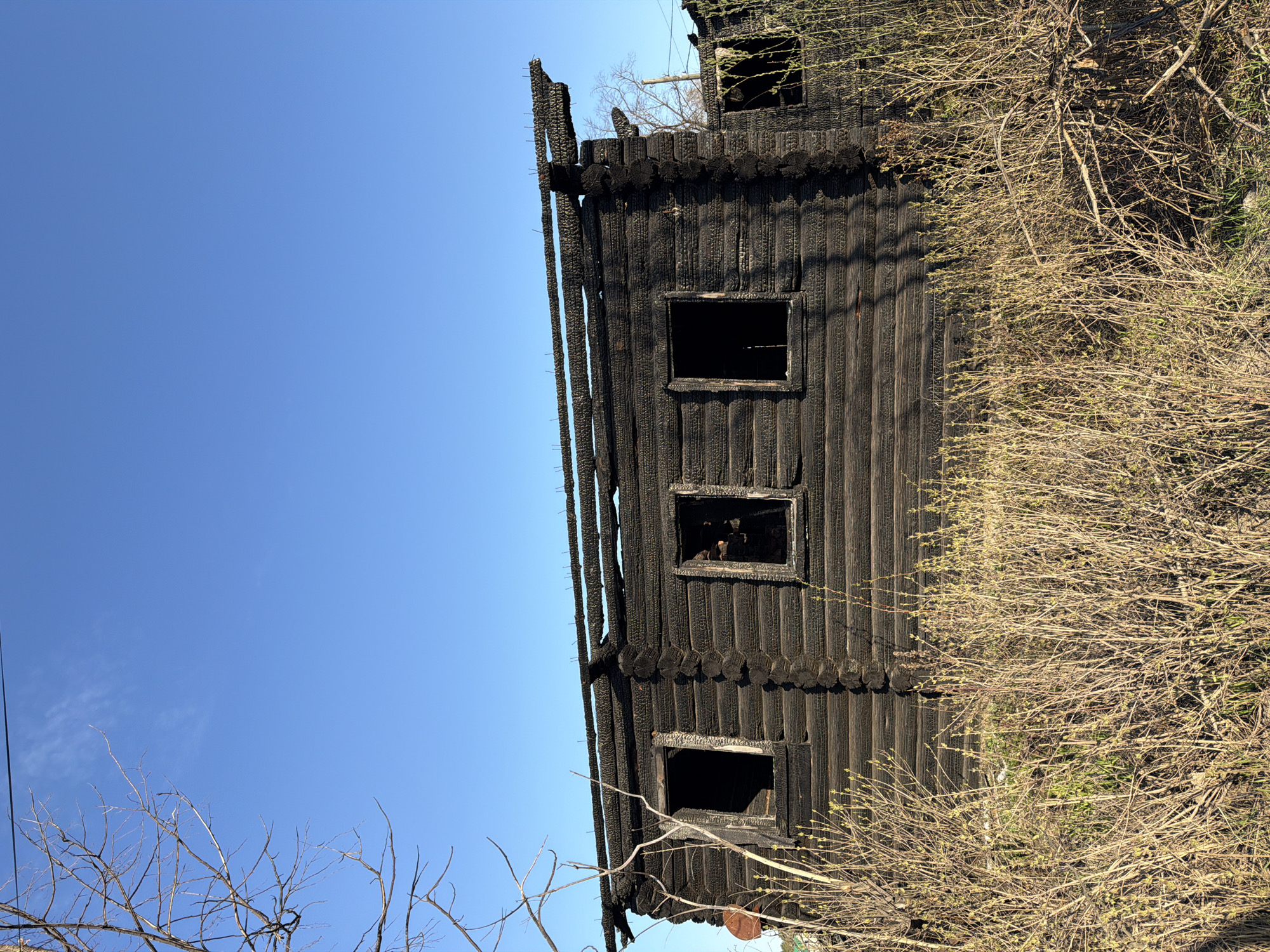 A charred wooden building stands against a clear blue sky in Chaikovsky, Russia. The building, constructed from logs, has three window openings, now blackened holes. The exterior is heavily burned, reducing the wood to a blackened, textured surface. A few leafless bushes with sparse, budding leaves obscure part of the building's facade.