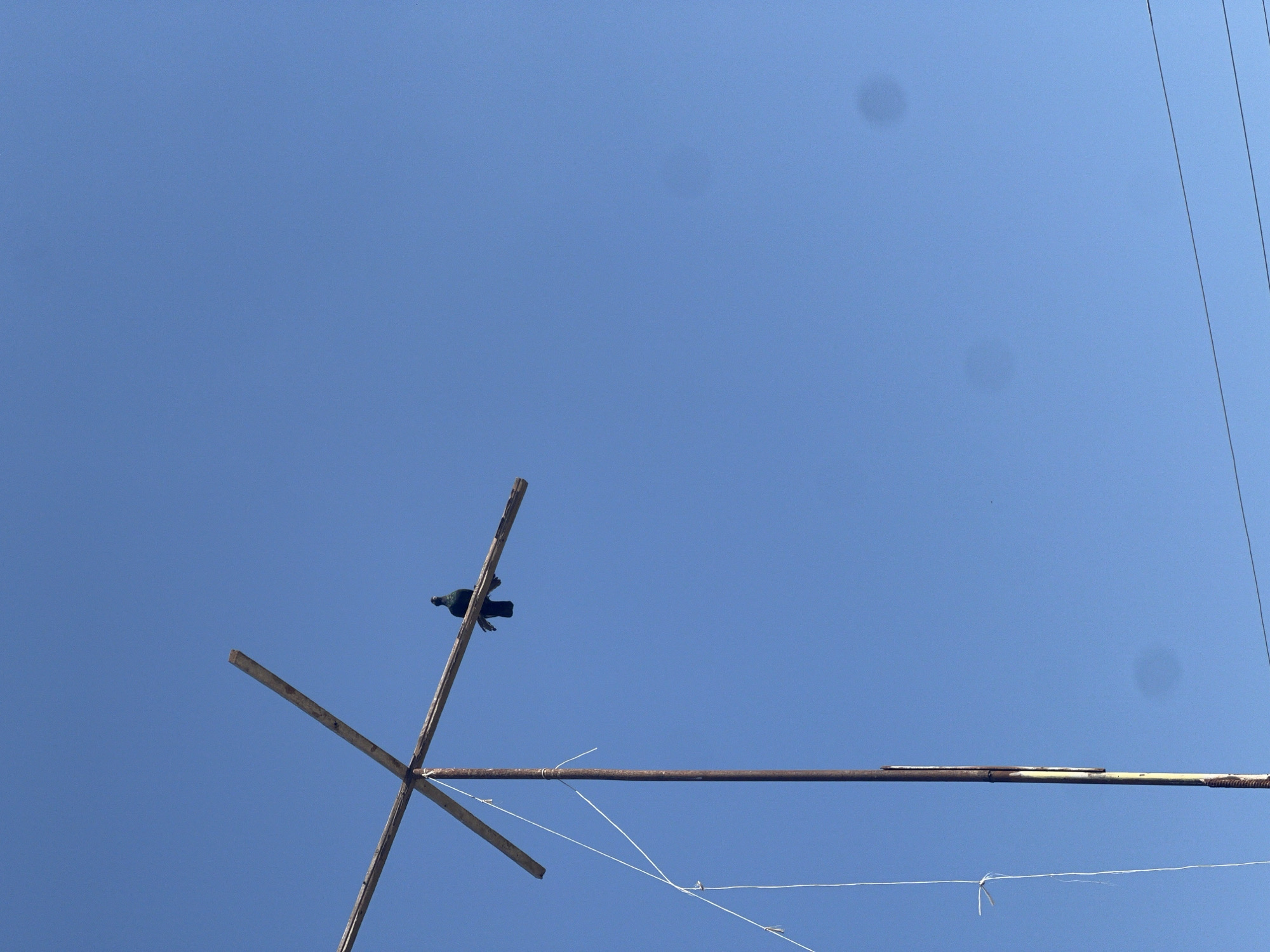 An image captured on a clear, bright day shows a single bird perched on a makeshift wooden structure against a vast expanse of blue sky. The structure, appearing to be made of two wooden beams forming a cross, is supported by a rusty metal pole. White strings, possibly for securing or attaching something, are loosely hanging from the pole. The bird, a dark silhouette against the sky, is positioned on the horizontal beam of the cross. The scene is stark and minimalist, with the sky dominating the frame. The location is identified as Uzbekistan, Uzbekistan.