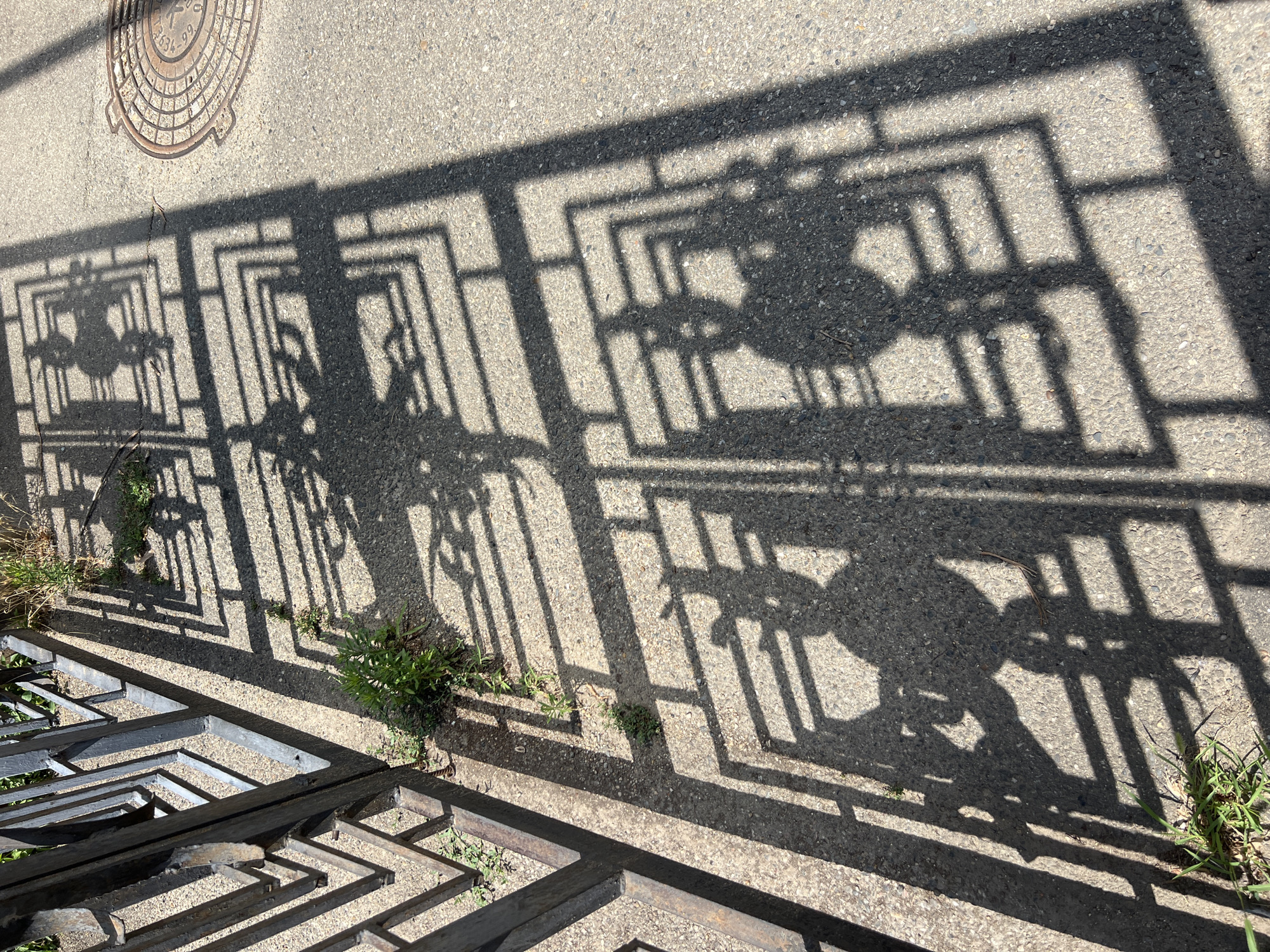 The image shows shadows cast by a decorative metal fence onto a concrete surface. The shadows form a geometric pattern of squares and rectangles, with figures of people appearing within some of the squares. The scene appears to be an outdoor public space, possibly a sidewalk or walkway. To the right, a circular metal manhole cover is visible on the concrete. The presence of a manhole cover suggests an urban environment, consistent with the city of Krasnodar, Russia, where such infrastructure is common. The light suggests it is daytime. The shadows are sharp, indicating bright sunlight. Some green grass is growing along the edge of the concrete, near the fence. The metal fence itself is dark and appears to be made of wrought iron or a similar material.