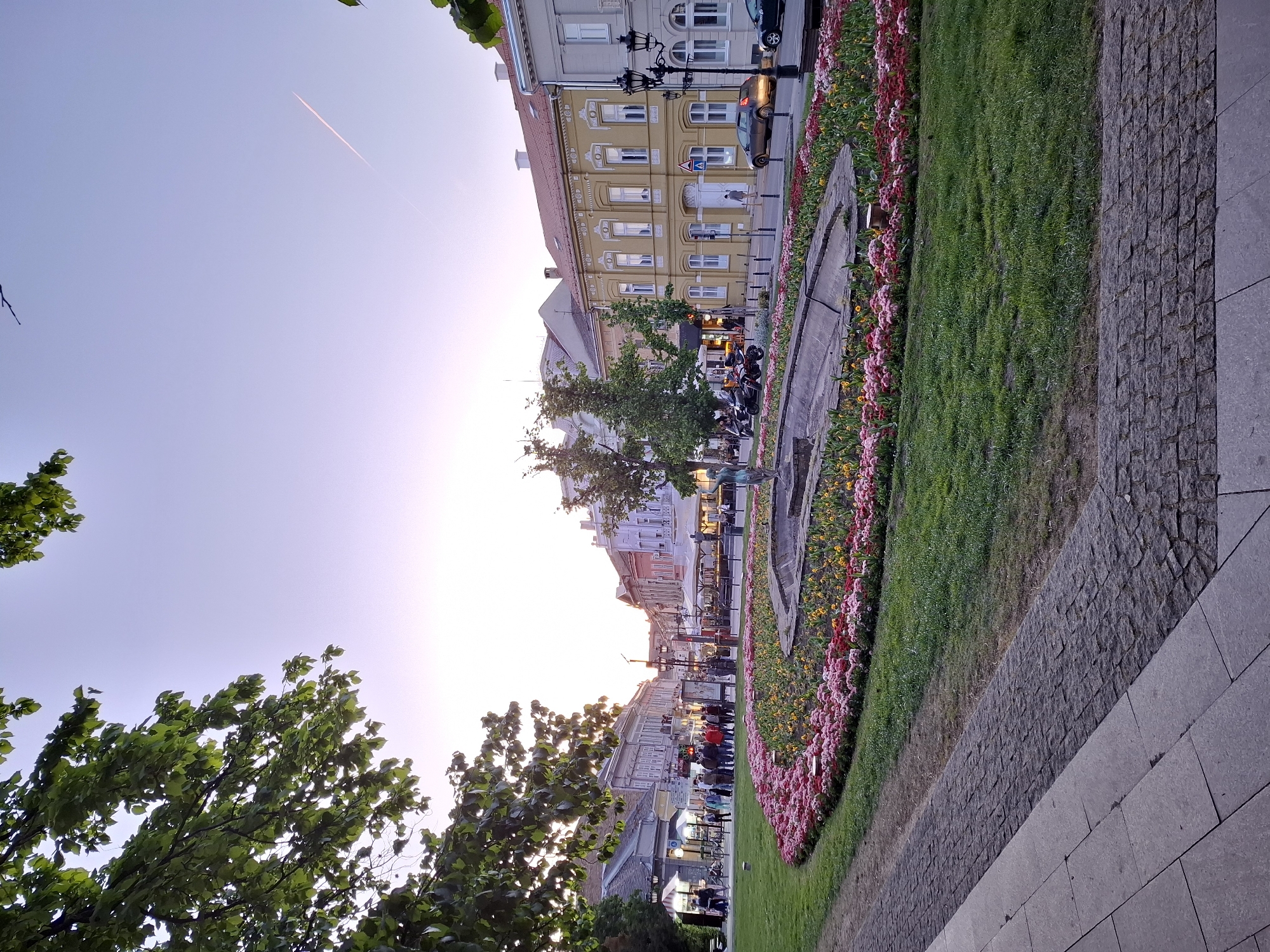 The image shows a view of the city center of Novi Sad, Serbia, captured at dusk. The perspective is slightly tilted. A paved sidewalk is in the foreground, transitioning into a strip of grass and a low concrete wall adorned with flower beds containing red, pink, and yellow blooms. Beyond the flower beds, the main street is visible with people walking and motorbikes parked. Buildings line the street, varying in height and architectural style with facades in shades of yellow, white, and pink. The sun is setting at the end of the street, creating a bright glare. A tree is visible on the left side, framing the scene. Above, the sky is a pale blue gradient. A contrail is also visible in the sky.
