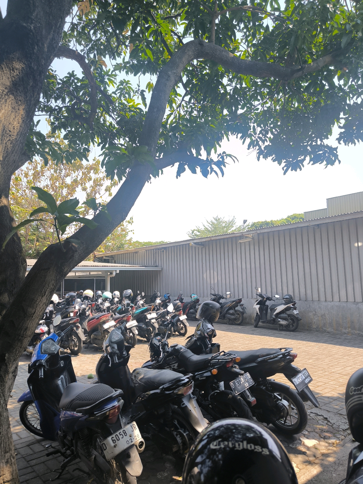 An outdoor, low-angle, eye-level, medium shot captures a row of parked scooters in an alleyway. In the foreground, a large tree trunk on the left dominates the frame, with its branches extending across the top and obscuring a portion of the sky and the background. The scooters are parked in two rows, with the closest scooter, a blue and black model, facing left and a black scooter with a gray seat parked next to it, facing right. A few other scooters are visible further back, with a variety of colors including red, white, and black. A grey metal wall with vertical panels runs along the right side of the alley, with a white building and a green tree visible behind it. The ground is paved with bricks. A clear, bright sky with some haze is visible in the upper right corner. License plates are visible on some of the scooters, with one showing "D 6058 JR 02-28." There are no people visible in the image. The scene appears to be in a residential or commercial area, possibly a parking lot for an office building or a residential complex. The image appears to have been taken in Bandung City, Indonesia, given the license plate format.