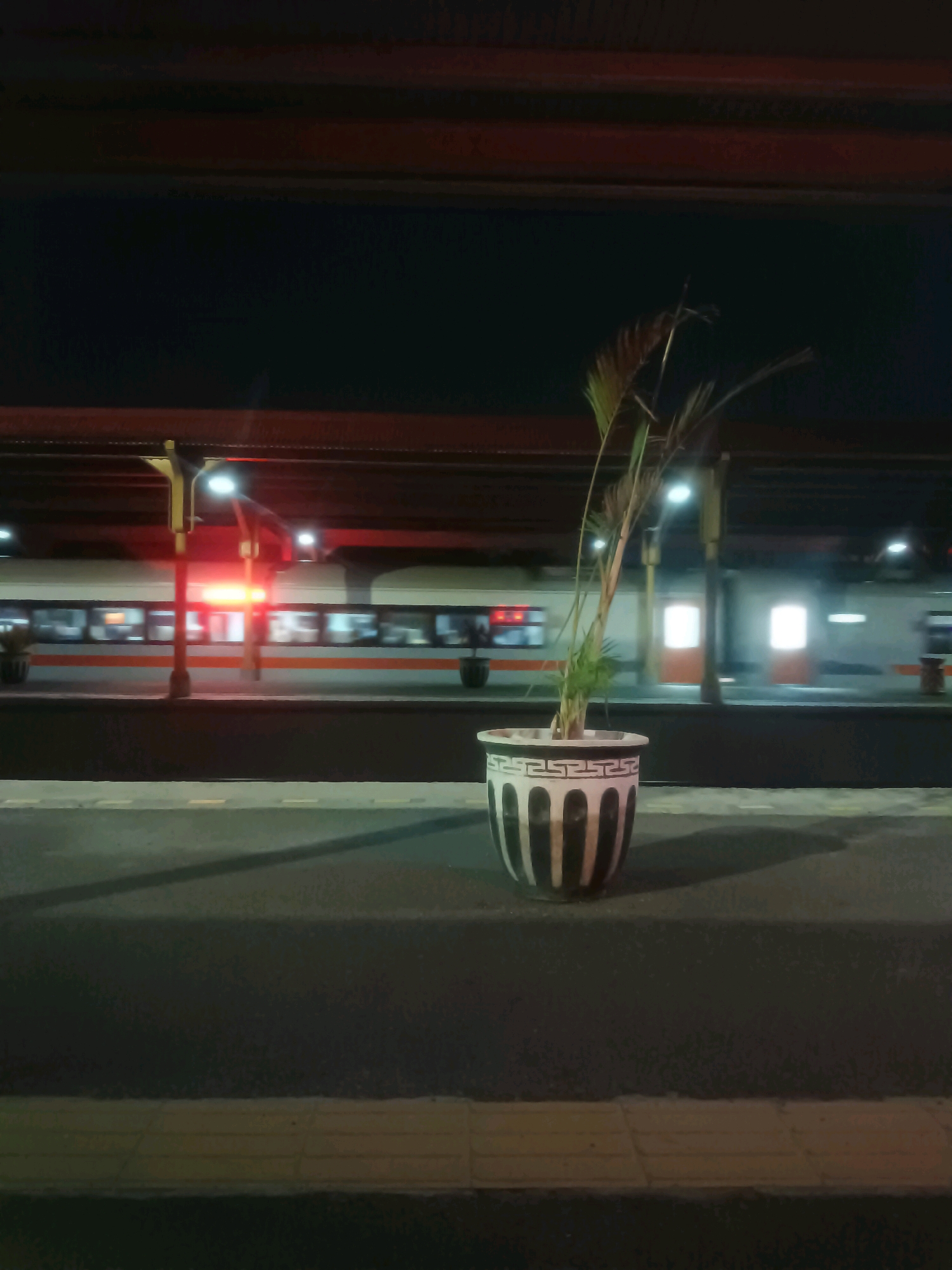 This is a night-time photograph taken at the Mojokerto train station in Mojokerto, Indonesia. In the foreground, a potted plant sits on the platform. The plant is green and appears to be a palm-like species. The pot is wide and cylindrical, decorated with a pattern of vertical black stripes and a Greek key design around the rim. Behind the plant, a train is visible, moving along the tracks. The train is white with an orange stripe running along its length. The windows of the train are illuminated, suggesting passengers are inside. Red lights from the station are casting a glow on the train. The platform is paved with asphalt, and a tactile paving strip runs along the edge. The background is dark, with the roof of the station structure visible overhead, supported by pillars. The overall atmosphere is calm and still, despite the moving train.