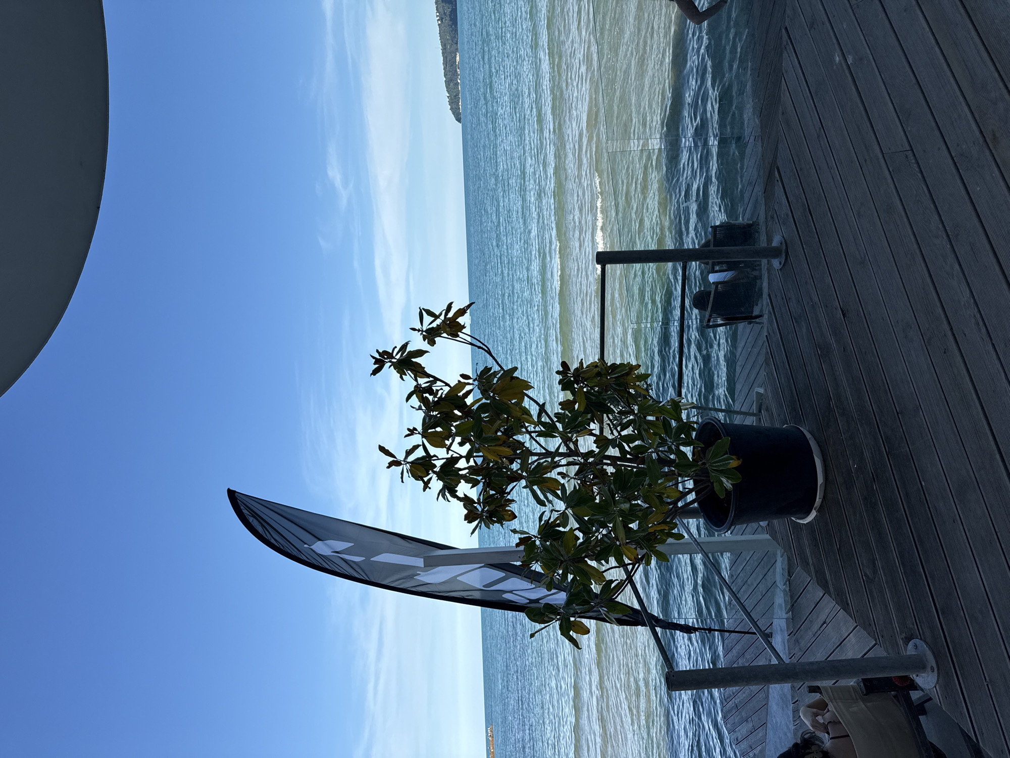The image depicts an outdoor scene overlooking a body of water, likely the Black Sea given the Varna, Bulgaria location context. A wooden deck with railings forms the foreground, leading to a view of the water and a distant shoreline with some vegetation.
The subjects in the scene are primarily inanimate objects and the natural environment. A large potted plant with green leaves sits on the deck, near a dark-colored flag with white markings. A portion of a large, curved, light-colored structure, possibly a building overhang or part of an architectural feature, is visible on the left edge of the frame. There are also some outdoor furniture items, including a chair, visible on the deck.
The activity is static; it appears to be a peaceful moment of observation rather than an active event. The time of day is suggested to be daytime, with clear blue skies and sunlight reflecting on the water, creating a bright and somewhat hazy atmosphere. The weather appears to be pleasant and clear.
Notable details include the texture of the wooden deck, the ripples on the water's surface, and the play of light and shadow. The presence of the flag and the deck suggests a commercial establishment or a well-maintained recreational area. No legible text is visible in the image.