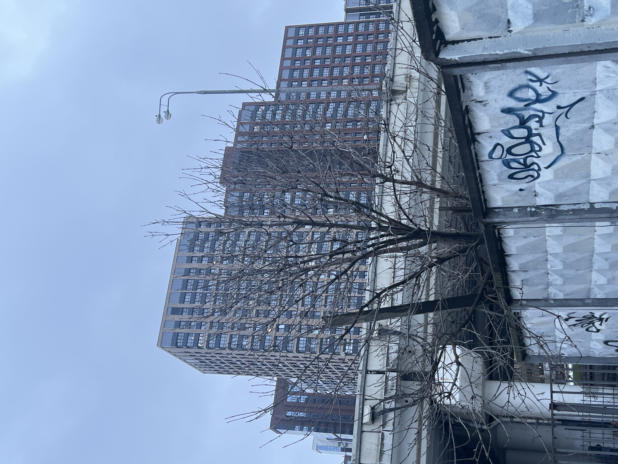 This media file captures an urban scene in Khimki, Russia, on an overcast day. The primary subjects are modern high-rise buildings, a bare-branched tree, a street lamp, and a textured wall-like structure.
In the foreground, a prominent, leafless tree with intricate, dark branches fills the center-left, suggesting winter or early spring. To the right of the tree, a rough, light-colored wall or support structure, possibly concrete or metal paneling, is heavily adorned with dark graffiti. Visible Cyrillic text includes "Я СОБО" and other less decipherable tags and squiggles.
Behind the tree and foreground structure, several tall, multi-story buildings rise into the sky. These are contemporary high-rises, primarily brown and grey, featuring numerous square windows that reflect the dull light of the sky. The buildings appear residential or commercial, characterized by a stepped or varied facade design.
In the upper left portion of the frame, a simple street lamp post extends into the pale, uniformly grey sky, indicating an overcast condition. No people or specific activities are visible, presenting a still urban landscape. The overall setting is a mix of modern architecture and utilitarian infrastructure, with natural elements in a dormant state.