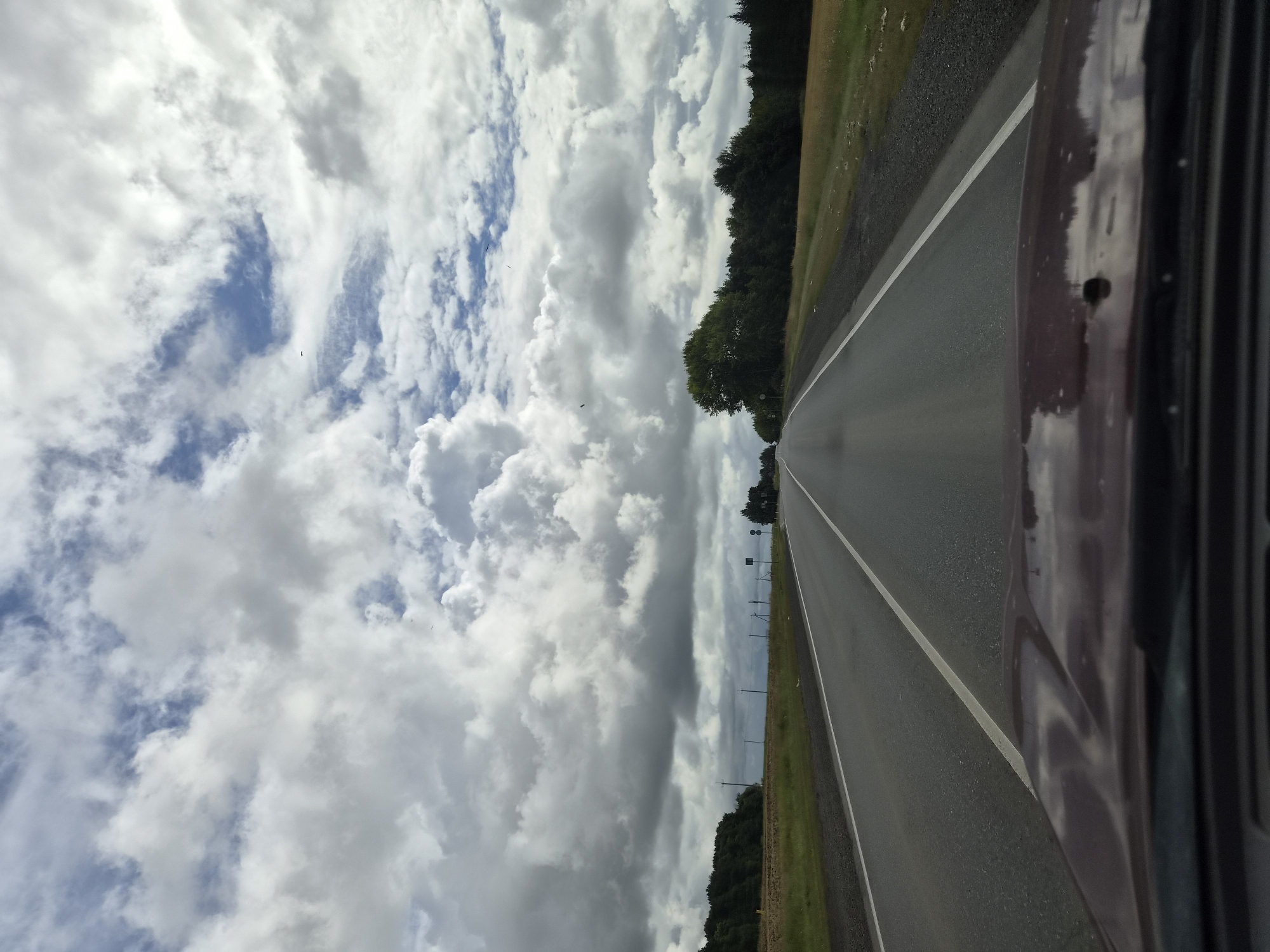 The image captures a view from inside a vehicle traveling on a paved road, likely in or near Pestretsy, Russia, given the context provided. The road stretches forward, divided by white lines, with a shoulder on the right composed of gravel and sparse vegetation, and a grassy median on the left. A dark-colored hood of a car is visible in the foreground, reflecting the sky. On either side of the road, dense green trees form a treeline, with fields of dry grass or crops visible beyond the trees on the right. The sky is filled with dramatic, heavy grey and white clouds, with patches of blue sky peeking through in places, suggesting a cloudy or overcast day. Several poles with wires are visible along the side of the road, and a few road signs are present. The overall scene depicts a rural or semi-rural landscape with a sense of travel.