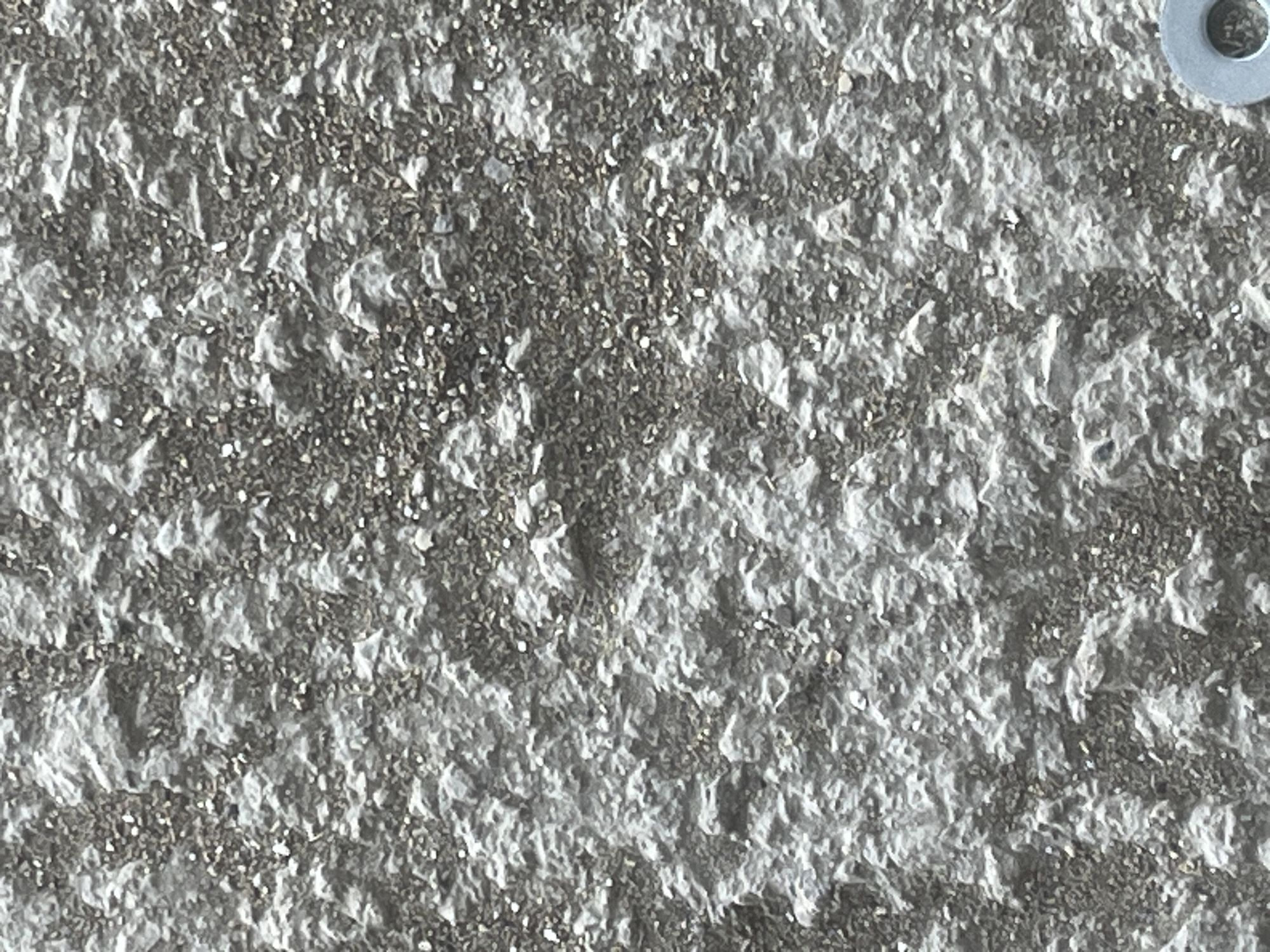 The image shows a close-up, full frame shot of a rough, grey, textured surface. The texture appears to be concrete with small pebbles or aggregate embedded within it. The surface has many small peaks and valleys, creating a rugged appearance. There are no people or discernible objects other than the texture of the surface itself. The lighting is even, suggesting it was taken in diffuse daylight. The image is taken from a straight-on perspective, focusing entirely on the texture. There is no indication of location within the city of Kyzylkum, Kazakhstan, or any other specific location. The bottom right corner of the image shows a glimpse of a silver washer.