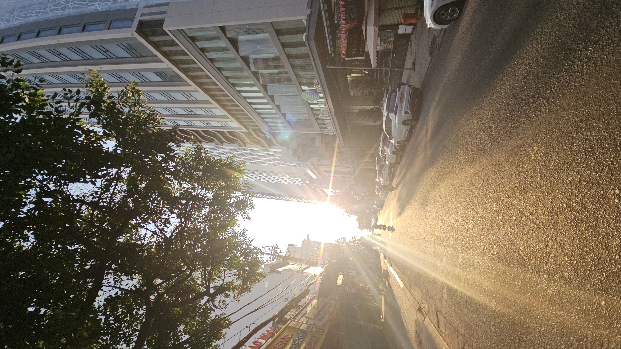 The image shows a street scene in Nha Trang, Vietnam, during late afternoon or early morning when the sun is low on the horizon, producing a bright glare and long shadows. A tall, modern building dominates the left side of the frame, with multiple floors and a glass facade. A large tree with dense foliage obscures part of the building and the sky. On the right side of the image, cars are parked along the curb of a paved street. A couple of people on a moped are on the road, moving toward the sun, and several more buildings and power lines are visible further down the street. Street advertising is visible in the bottom center of the image.