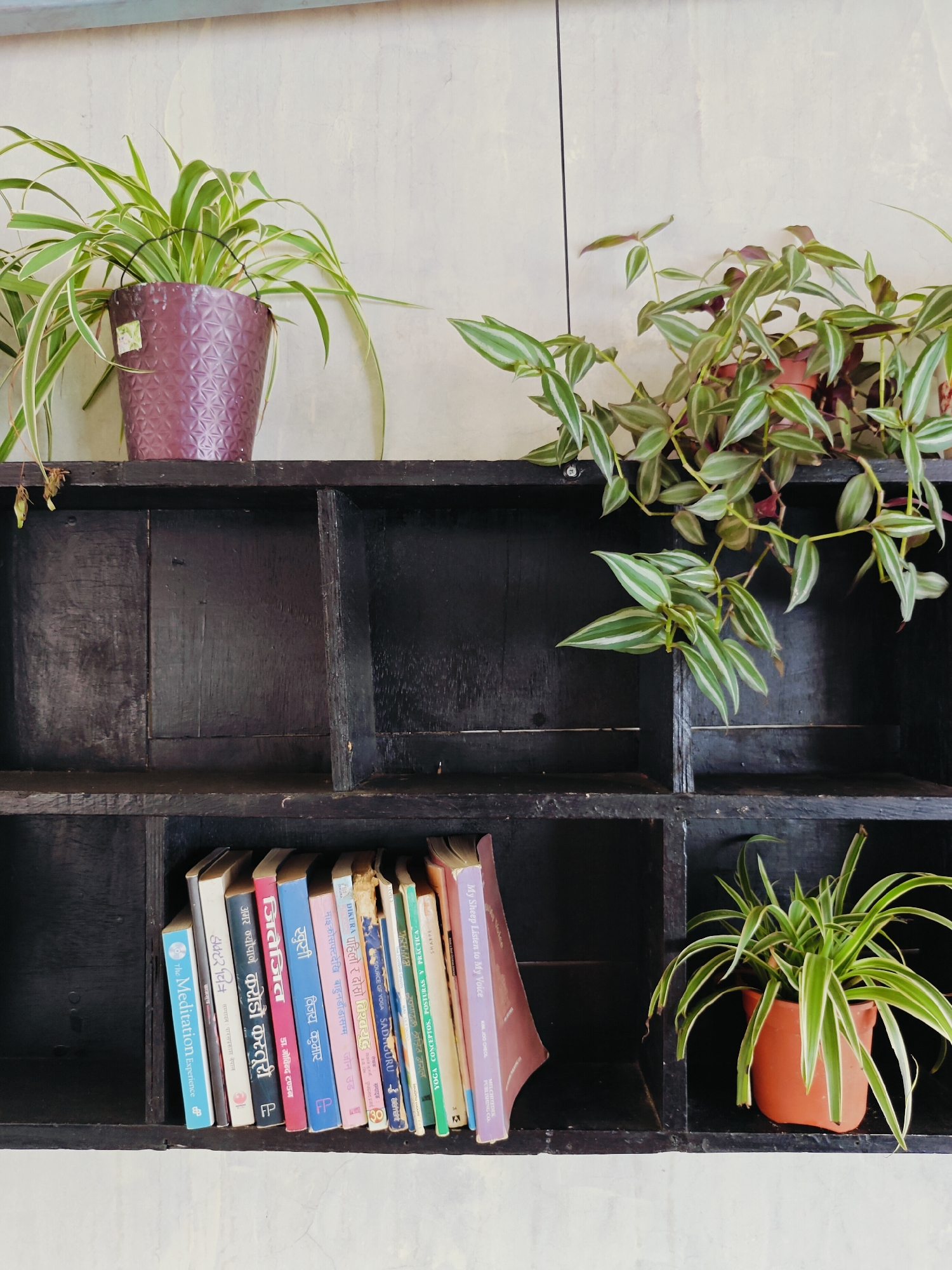 This image depicts a wall-mounted, dark wood shelving unit with multiple compartments. The top shelf displays two potted plants. On the left, a spider plant with variegated leaves sits in a textured purple pot. On the right, a plant with trailing vines, featuring green and purple leaves, is in a terracotta pot.
The lower shelf holds a collection of books arranged horizontally. Several books have titles in what appears to be Devanagari script. One book is titled "The Meditation Experience" and another, to its right, has "Yoga Sadhana Guru" visible. On the far right of this shelf, another spider plant is housed in a small, orange pot. The background wall is textured and off-white. The overall scene suggests a calm, possibly domestic or a small establishment setting, with a focus on greenery and literature. The image does not provide explicit clues to confirm a specific location in Pokhara, Nepal, but the presence of Devanagari script on the books could be indicative of Nepal or India.