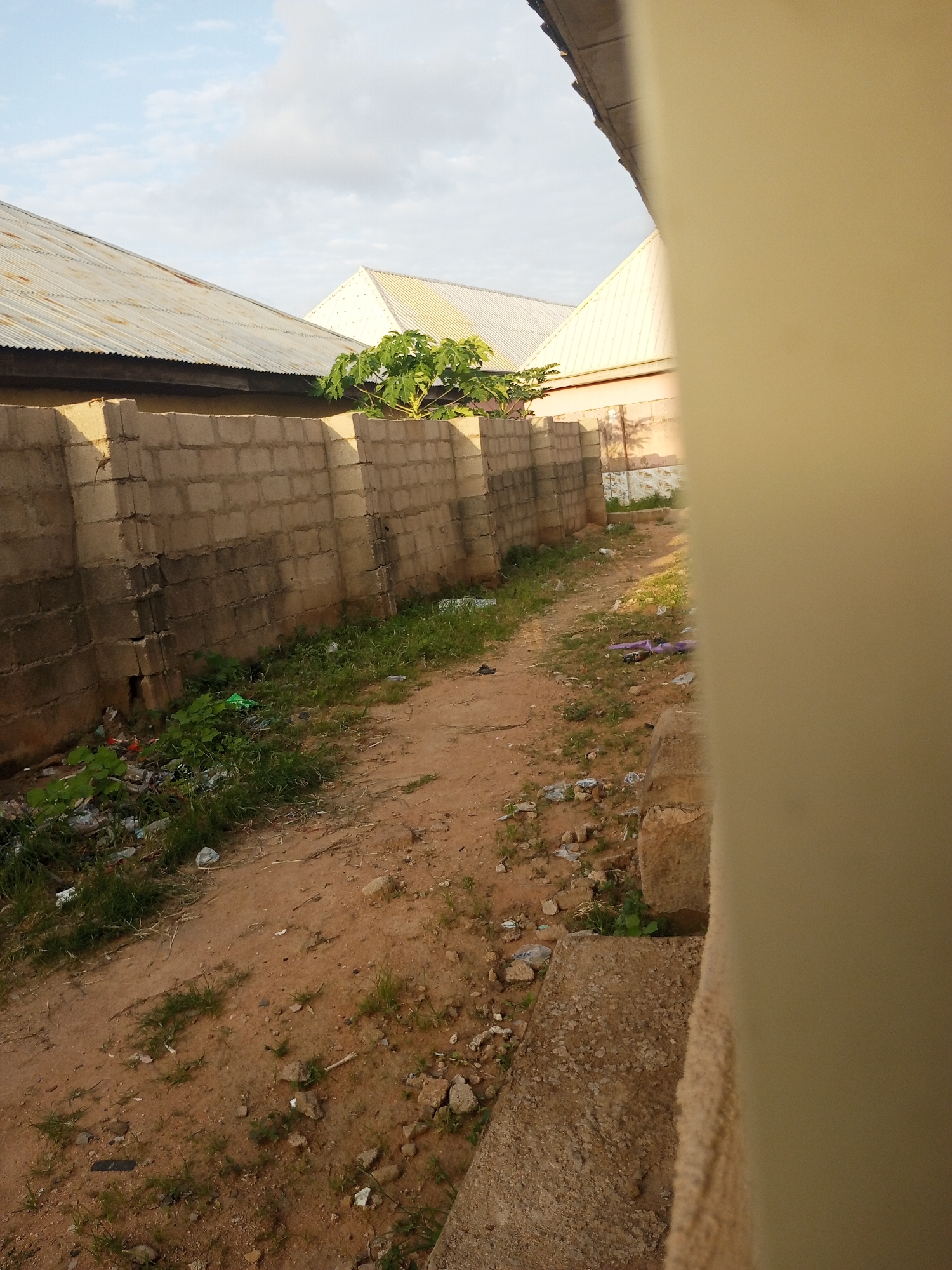 The image depicts an outdoor scene with a rough, dirt path running alongside a brick wall. The wall appears to be constructed from grey concrete blocks and is partially overgrown with vegetation. Scattered along the edge of the path and against the wall are various pieces of debris, including plastic bags and other refuse. In the background, the corrugated metal roofs of buildings are visible against a cloudy sky. A green tree with a dense canopy stands near the wall. The overall impression is that of an unkempt, possibly residential or semi-industrial area in Jalingo, Nigeria. The lighting suggests it is daytime, with sunlight casting shadows. There are no people or animals visible in the frame, and no actions or interactions are depicted.