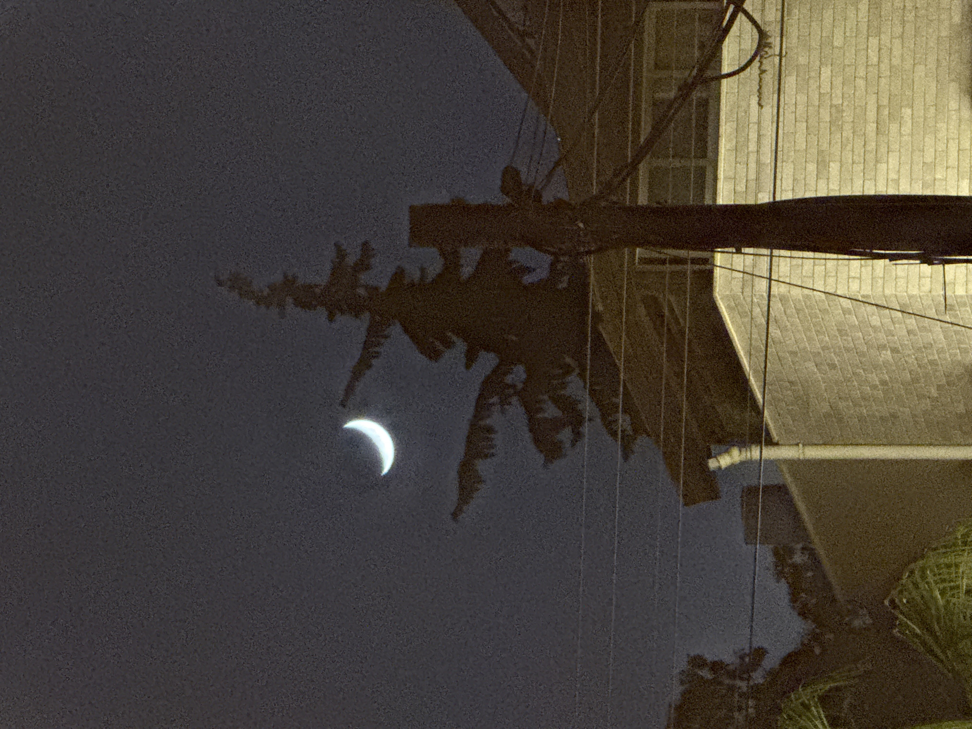 Here is a description of the image:
The image, shot at night in Petah Tikva, Israel, shows a crescent moon in the dark sky. The lower portion of the frame includes the silhouetted shapes of trees, power lines, and a building with what appears to be a brick or stone facade. The image is oriented upside down.