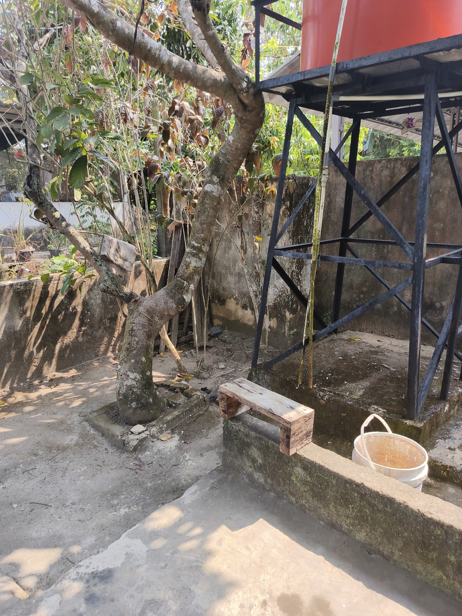 The image depicts an outdoor scene, likely in Pangkalpinang, Indonesia, focusing on a water tank structure and its surroundings. A tall, orange water tank is elevated on a black metal frame, positioned to the right of the frame. A white pipe extends vertically from the tank, with a slight curve. To the left of the water tank, a gnarled, moss-covered tree trunk with branches and leaves is prominent. Beneath the tree, a concrete foundation is visible. In the foreground, a rough wooden bench rests on a concrete ledge. A white plastic bucket with a handle sits next to the bench. The ground appears to be a mixture of dirt and concrete, with scattered debris. The environment suggests a utilitarian area, possibly a backyard or a maintenance area, characterized by its unrefined and weathered appearance. The lighting indicates a sunny day, casting shadows across the scene.
