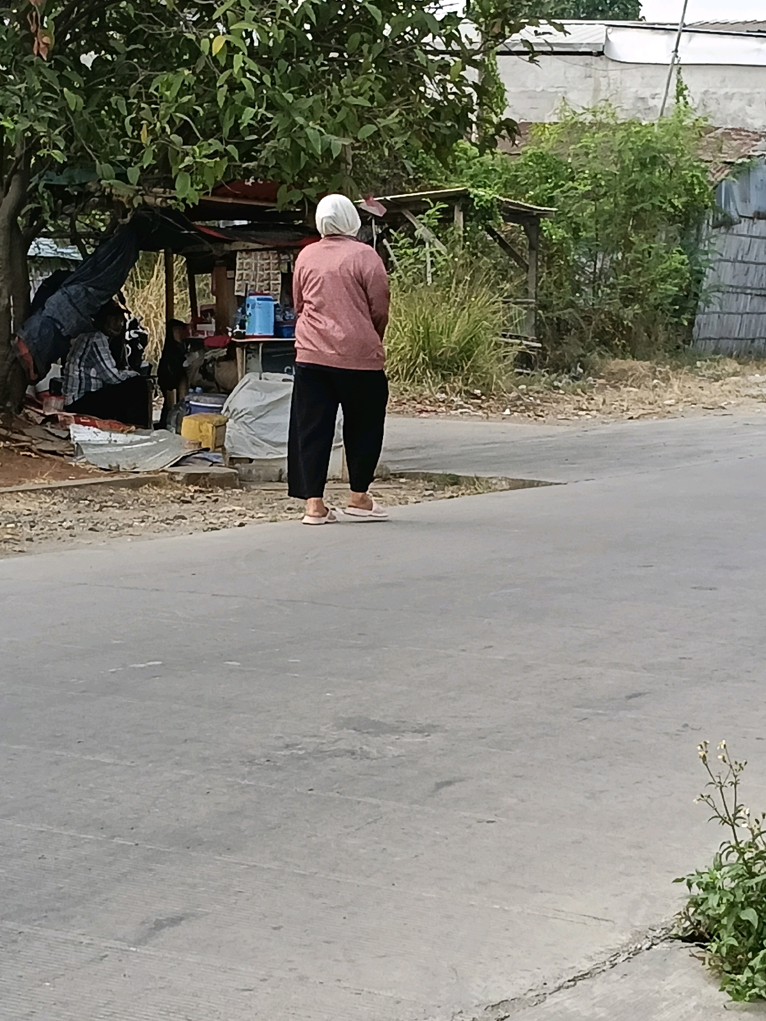 A woman wearing a white hijab and a pink long-sleeved shirt stands facing away from the camera on a paved road in Belimbing, Indonesia. She is also wearing black pants and light-colored slip-on shoes. To her left, there is a makeshift stall under a tree with various items displayed on shelves. Behind the stall, a white-tiled building and some overgrown vegetation are visible. The road surface is made of asphalt and shows some cracks. In the foreground, a small plant with white flowers is growing out of a crack in the road. The scene appears to be in an outdoor, semi-urban environment.