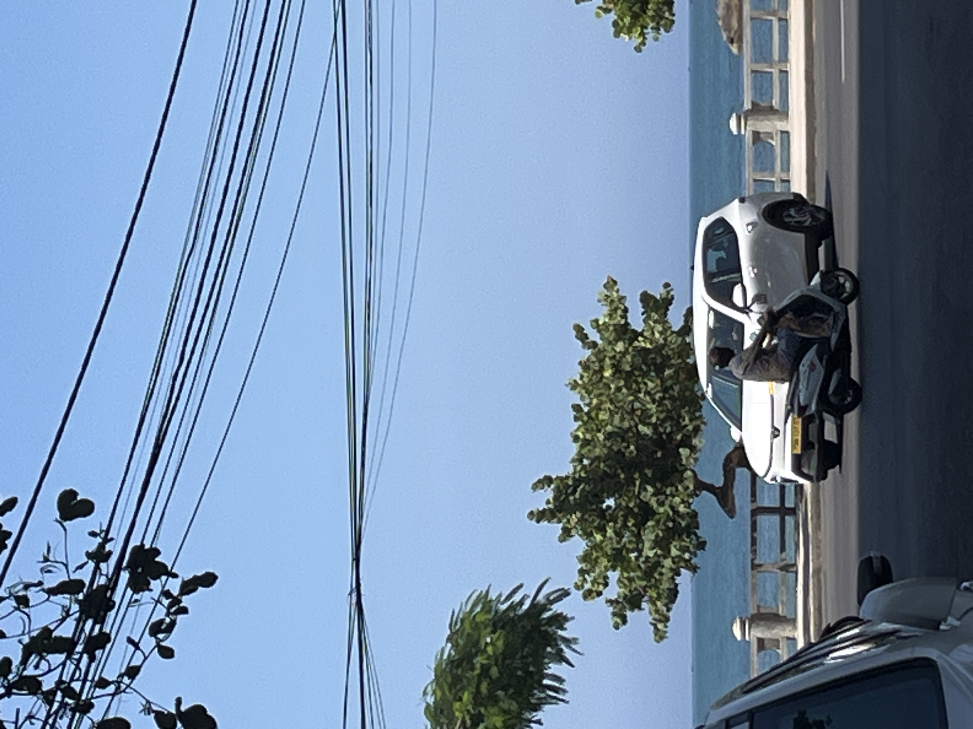 This image depicts a coastal street scene in Bac Nha Trang Ward, Vietnam, under a clear blue sky. In the foreground, the hood and A-pillar of a white vehicle are partially visible on the left. The road surface is dark asphalt.
In the midground, a white SUV, possibly a VinFast VF 8, travels on the road. Simultaneously, a person wearing a light-colored shirt is riding a white scooter parallel to the SUV, positioned slightly ahead and to its left. Both vehicles are moving from left to right. To the right of the road, a light-colored stone balustrade or fence separates the roadway from the coastline. Two distinct trees with dense green foliage are visible behind the balustrade and the SUV, with one larger, gnarled tree to the left and a smaller, more distant tree to the right.
The background features the expansive, calm blue water of the sea, extending to a faint horizon. The sky above is a uniform, bright blue. Numerous black electrical wires crisscross horizontally across the upper portion of the sky. Silhouetted dark leaves and branches from an unseen tree are visible in the upper left corner, partially obscuring some of the wires.