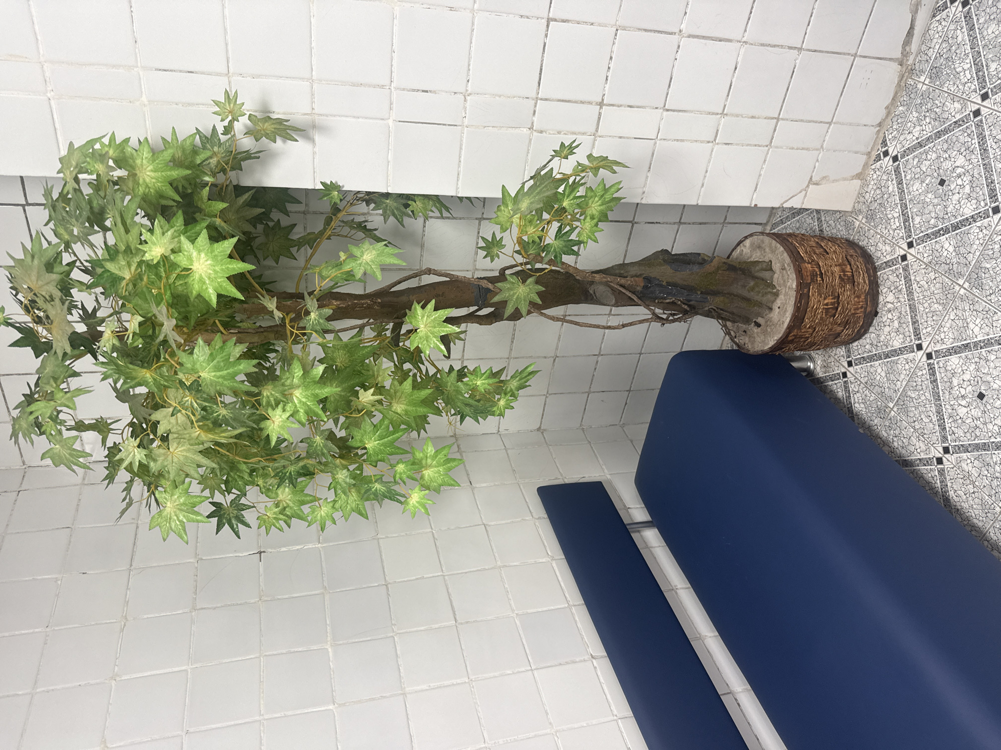 The image shows a potted artificial tree next to a blue bench. The tree has green leaves and a brown trunk and is placed in a brown woven pot. The bench is positioned in the corner of a room with white tiled walls and a patterned tile floor. The perspective is from above, looking down at the scene. The location is Syniak, Ukraine.