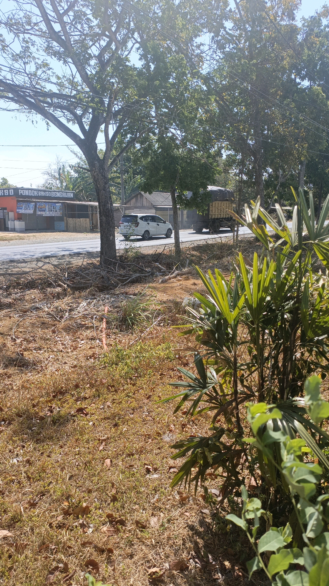 The image captures a roadside scene in Desa Pabahanan, Pelaihari, Tanah Laut, Indonesia. A white hatchback car is parked on the right side of a paved road, facing away from the camera. Across the road, a building with orange and white signage reads "RA SO PONDOK BAKSO BENGALAN." To the right of the car, a truck with a canvas-covered cargo bed is visible. The foreground is dominated by dry, brown grass and fallen leaves, with a cluster of lush green plants in the lower right corner. Several trees with bare branches and some foliage are scattered throughout the scene, casting shadows on the dry ground. The sky is clear and blue.